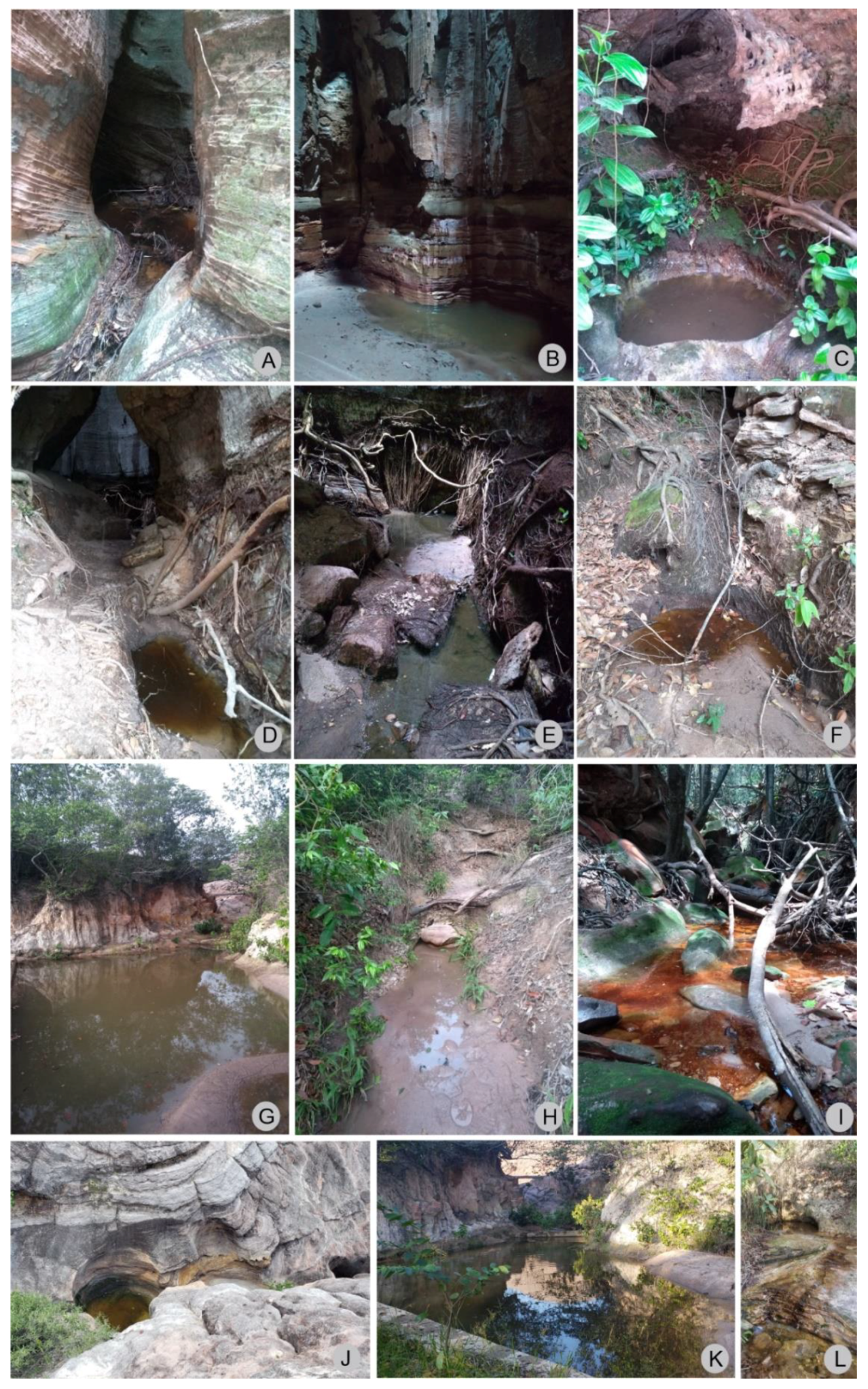 Insects 13 00541 g012 Insects 13 00541 g012