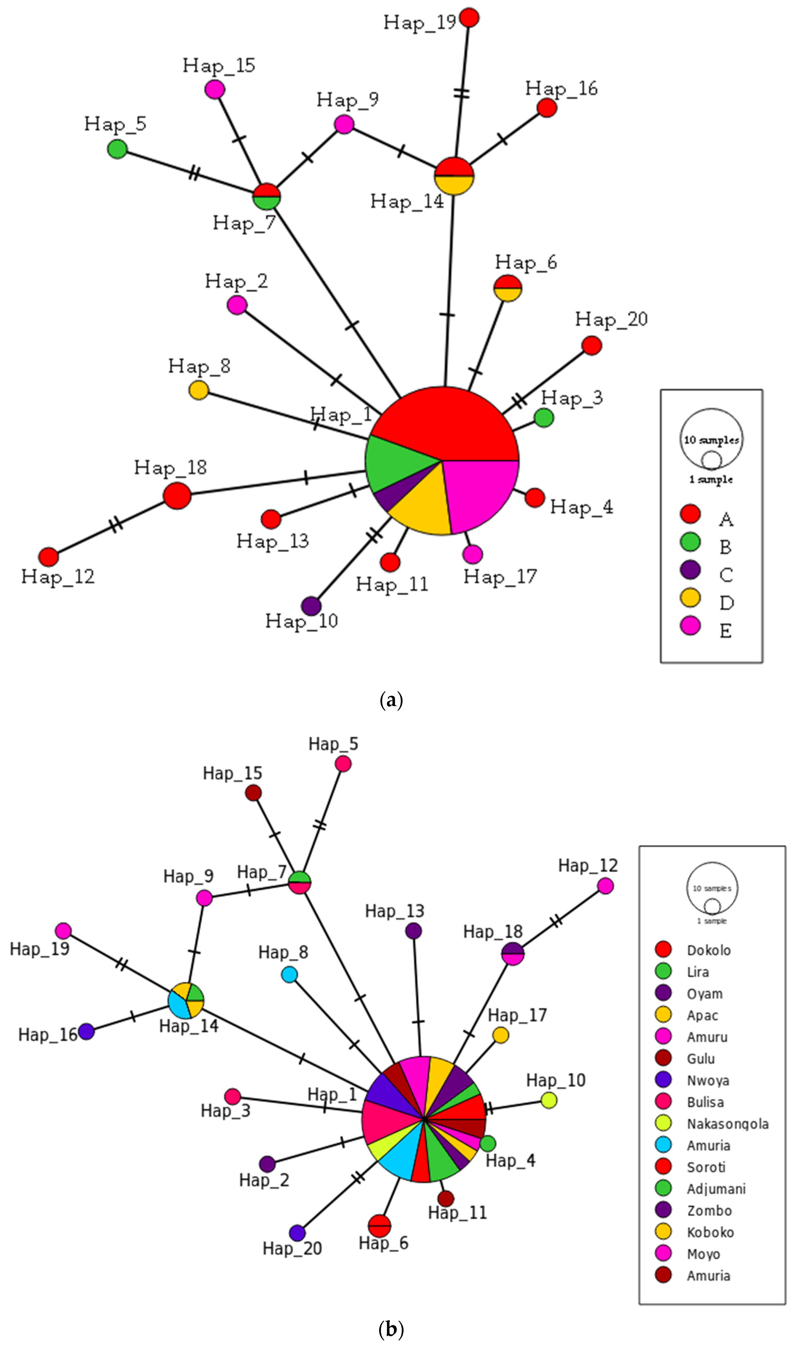 Insects 13 00543 g003