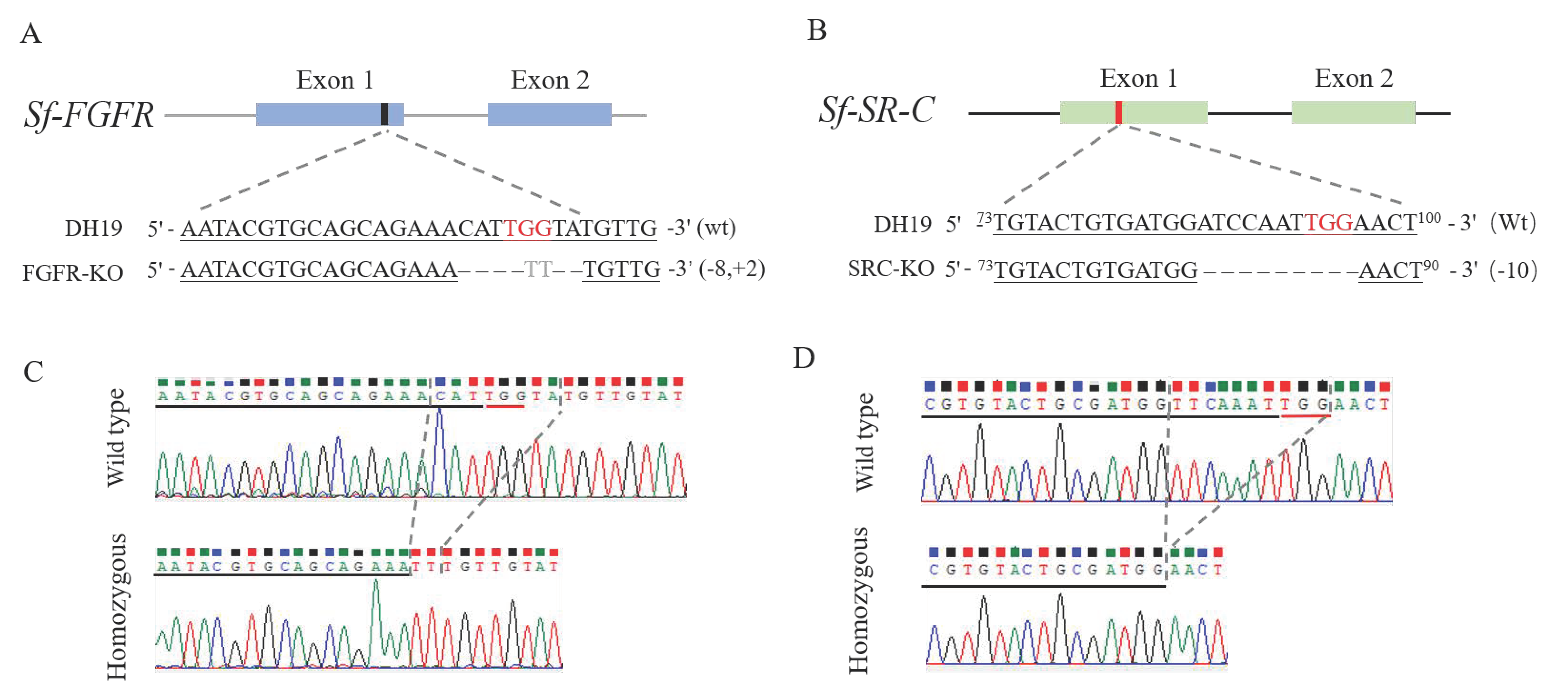 Insects 13 00547 g001