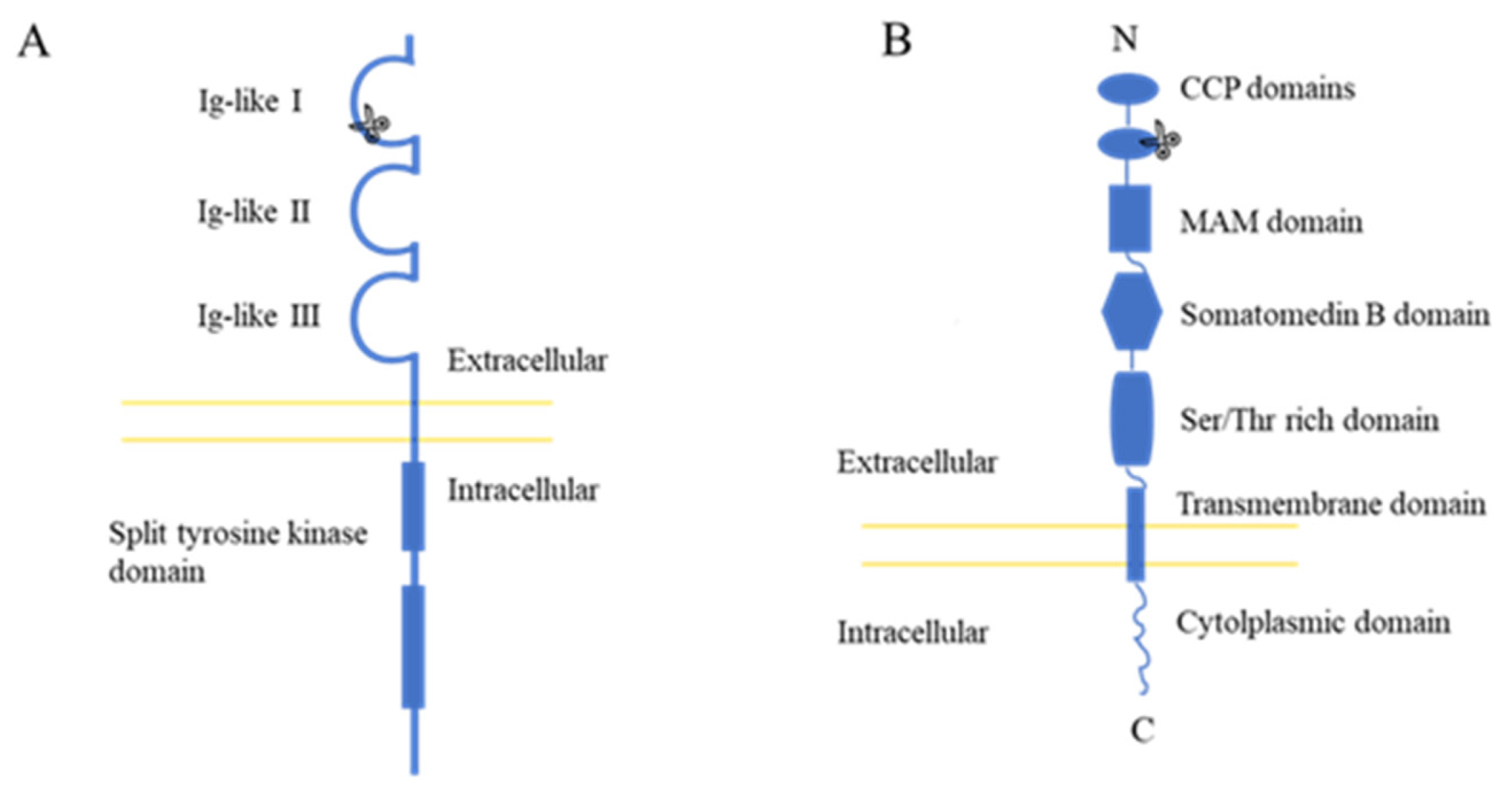 Insects 13 00547 g003