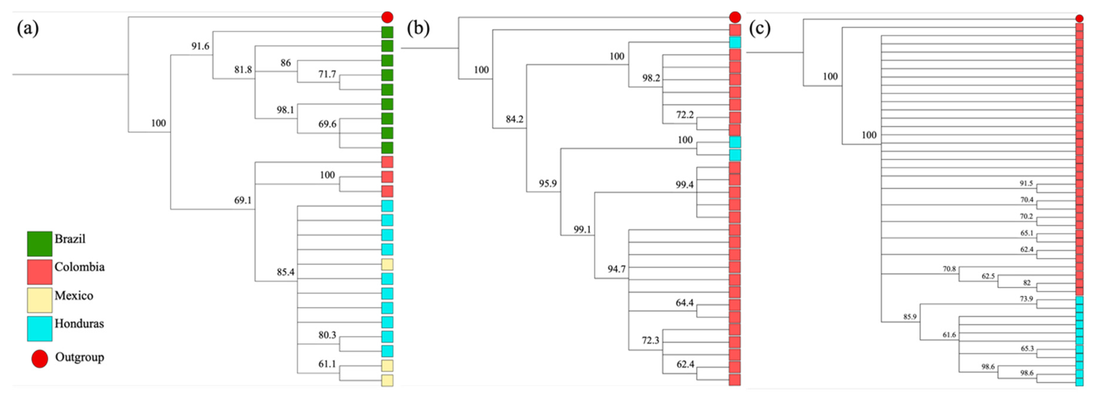 Insects 13 00548 g004