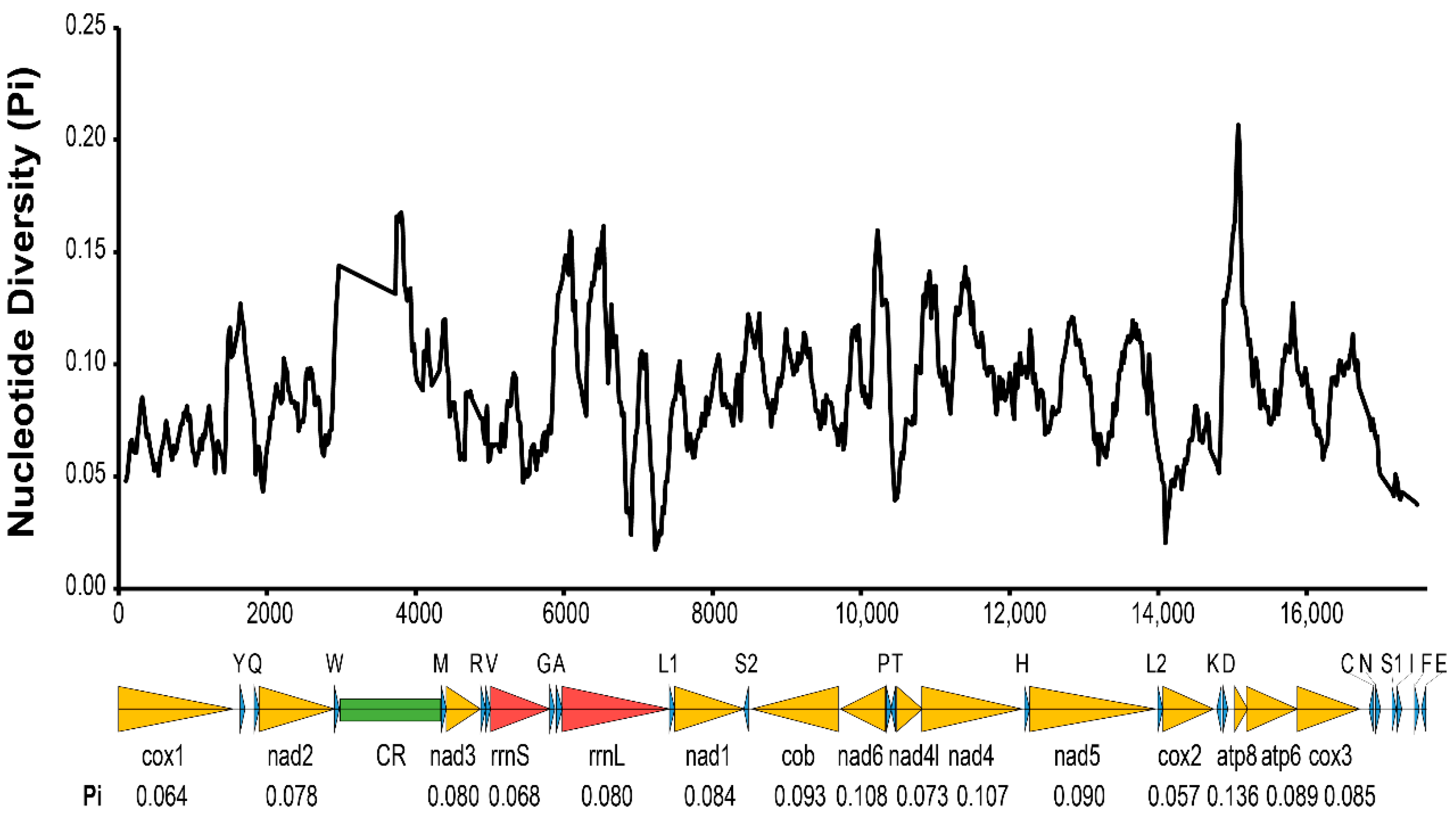 Insects 13 00549 g002