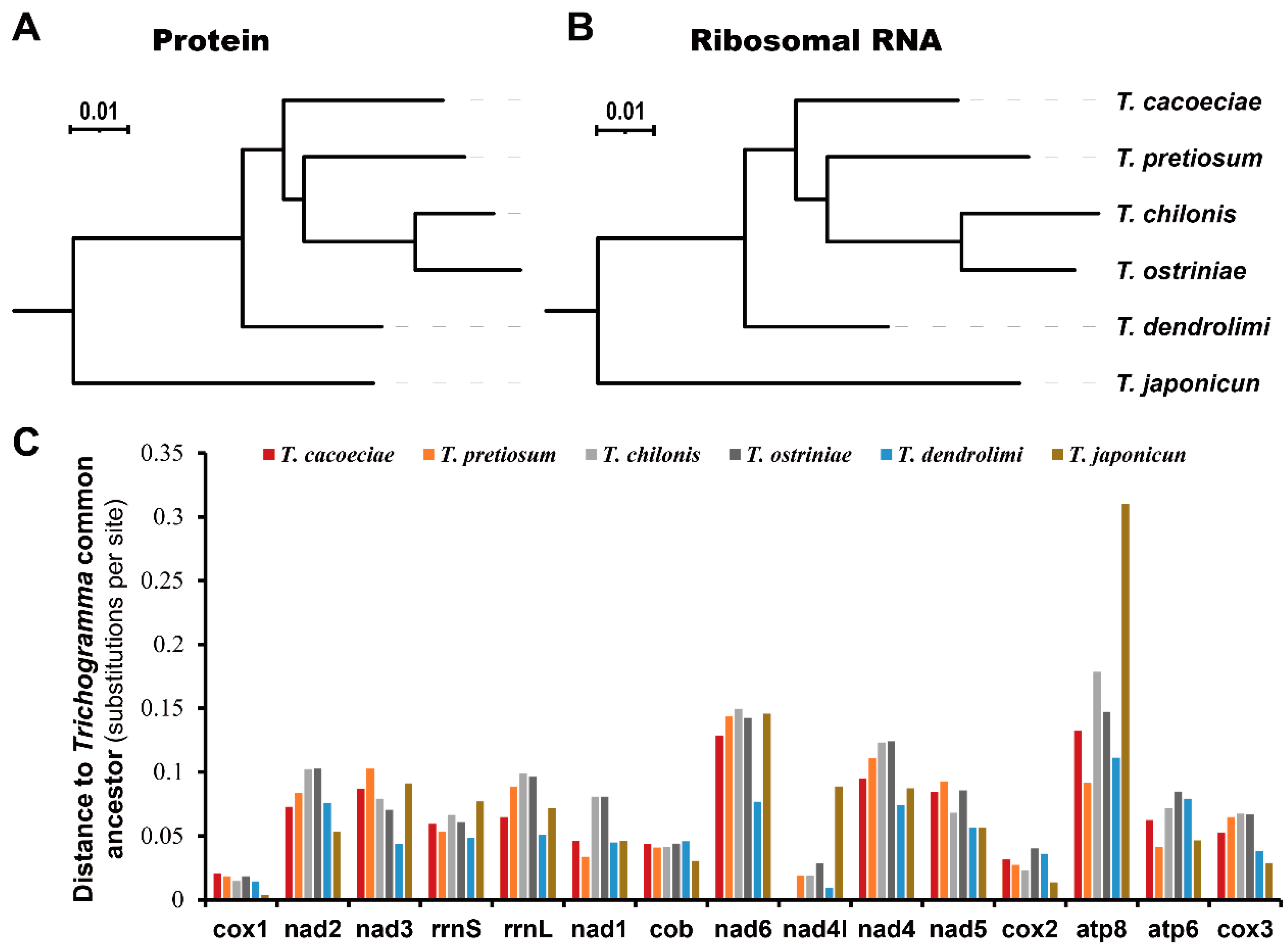 Insects 13 00549 g003