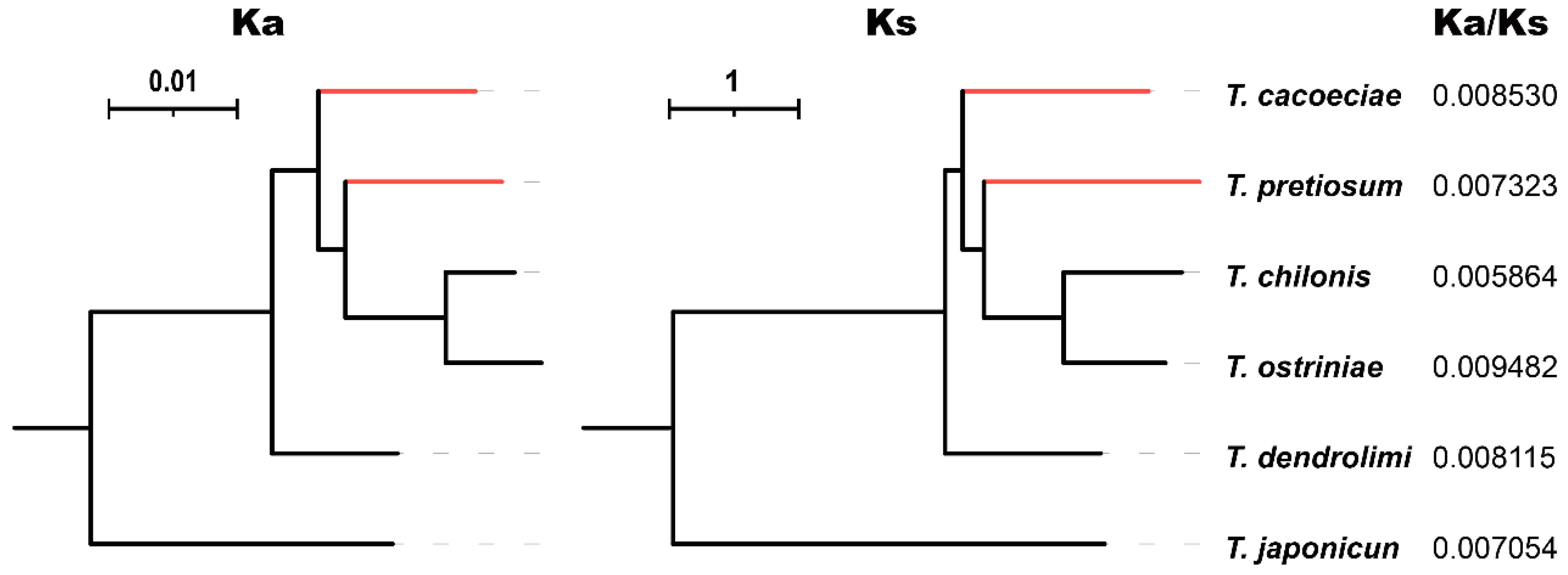 Insects 13 00549 g004