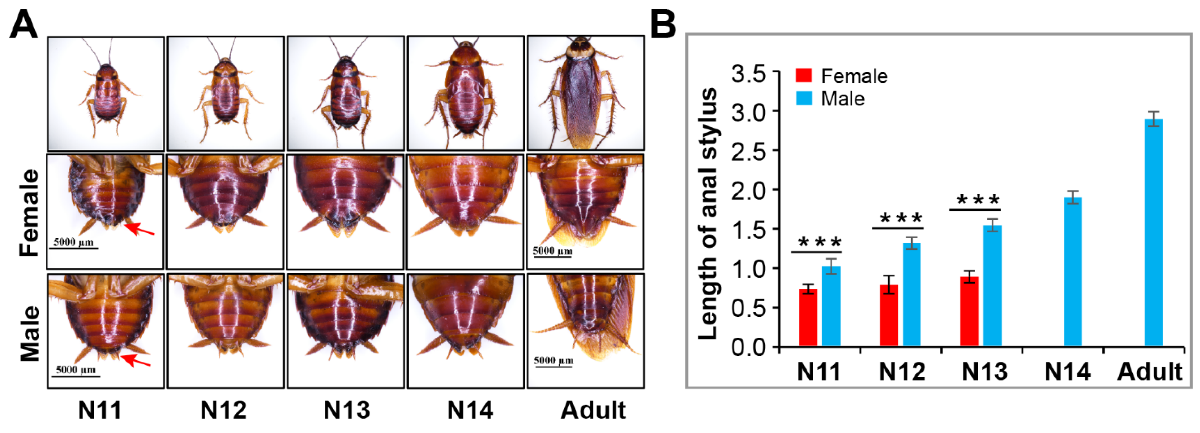 Insects 13 00551 g006