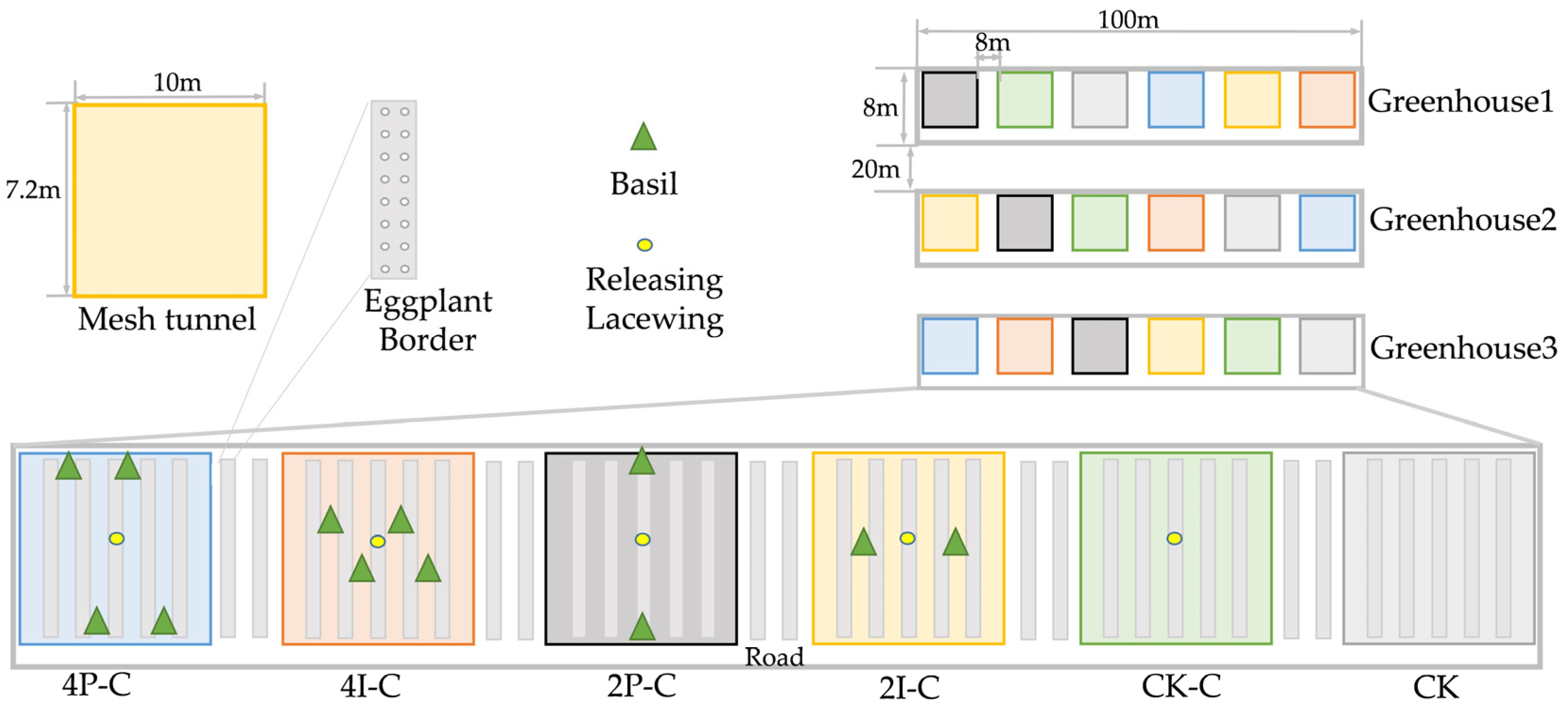 Optimizing the Use of Basil as a Functional Plant for the