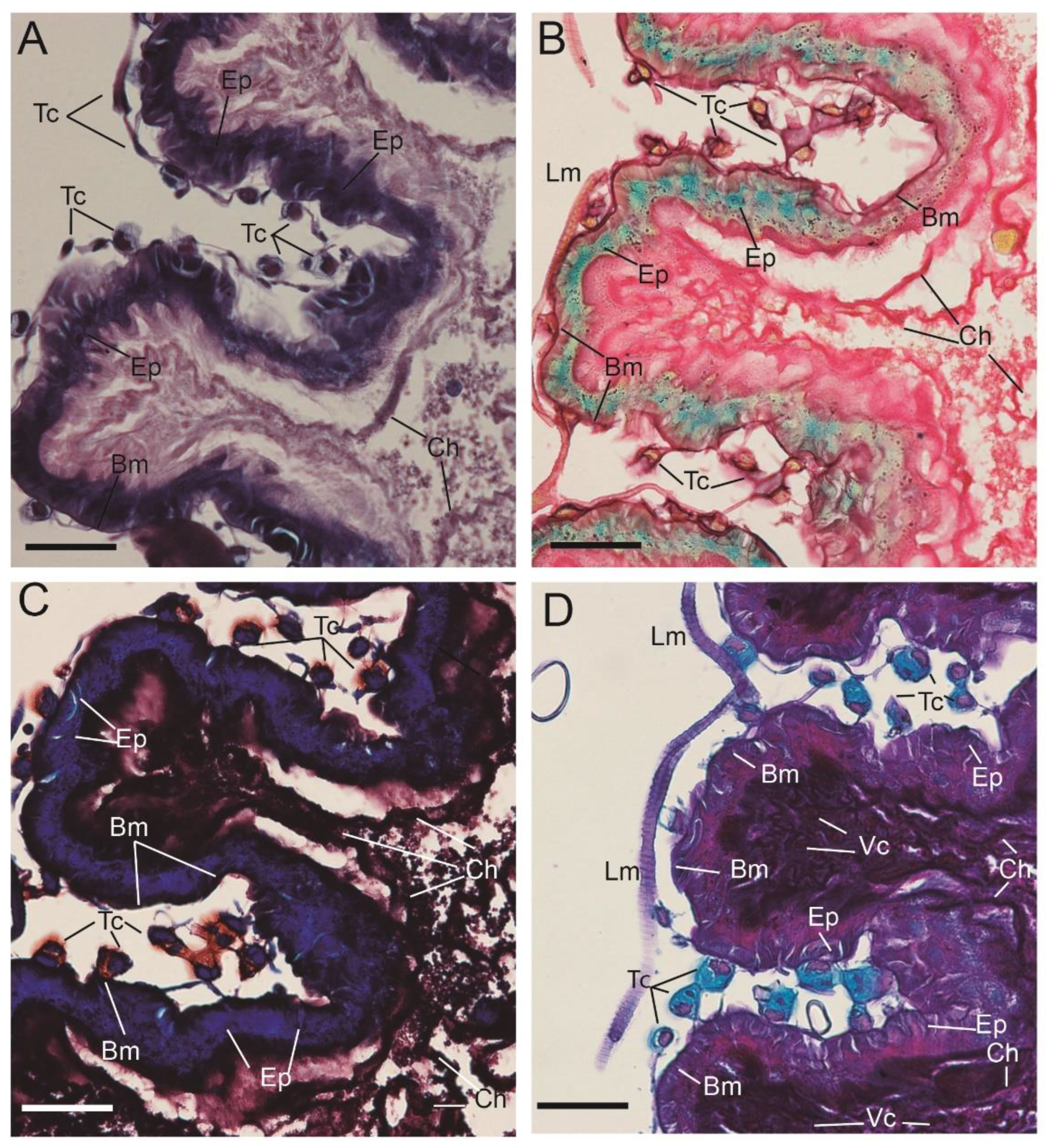 Insects 13 00556 g005