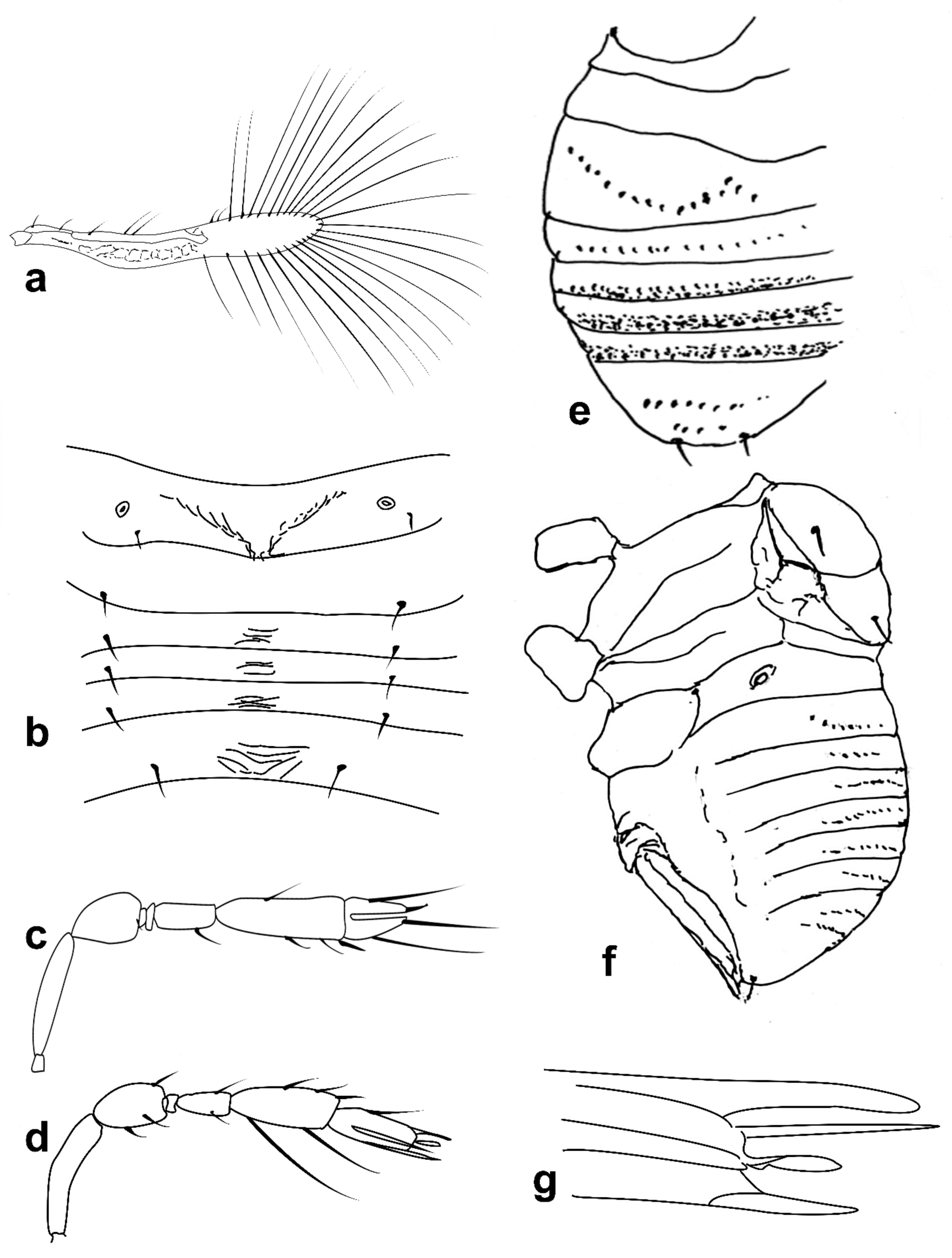 Insects 13 00561 g004