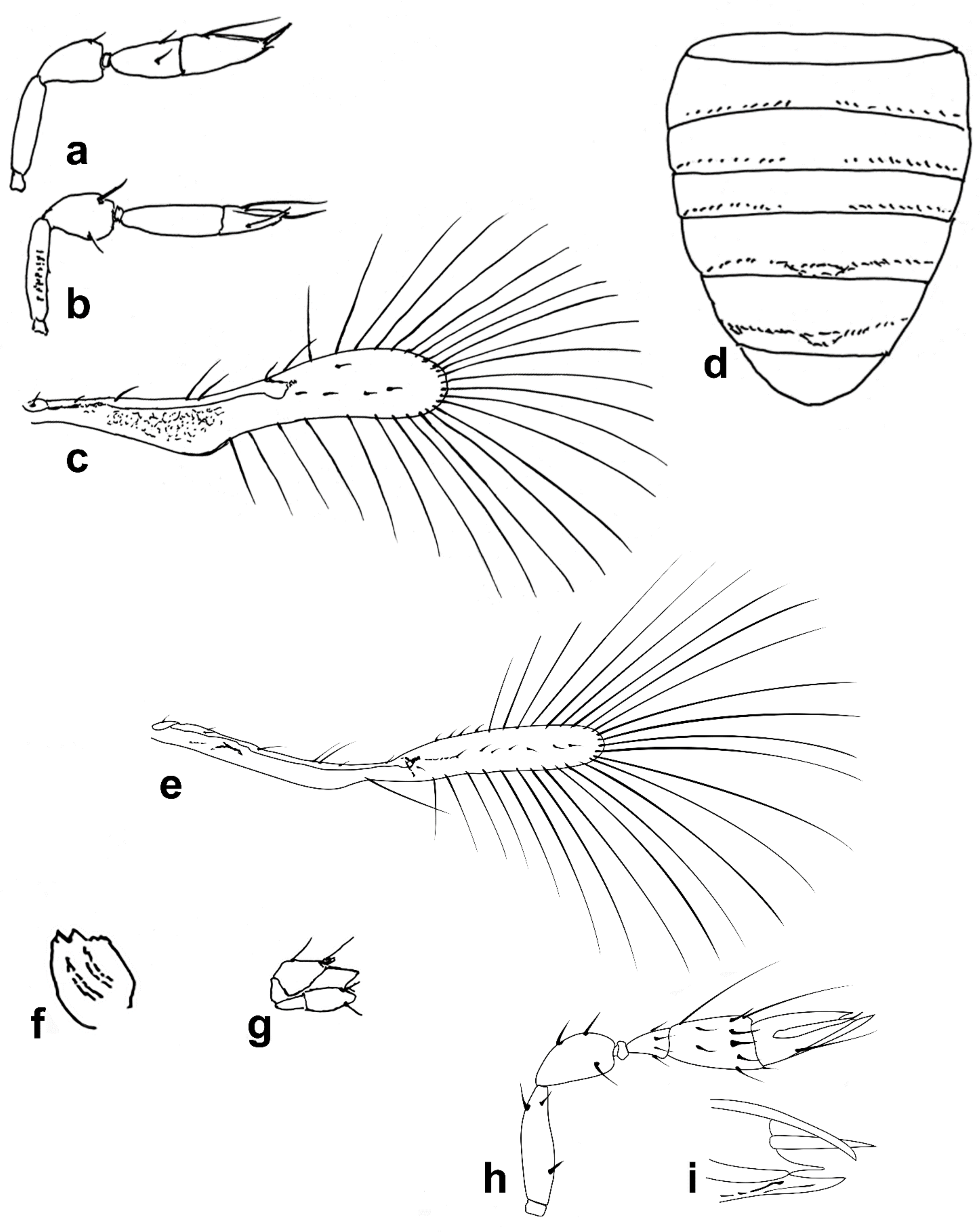 Insects 13 00561 g006