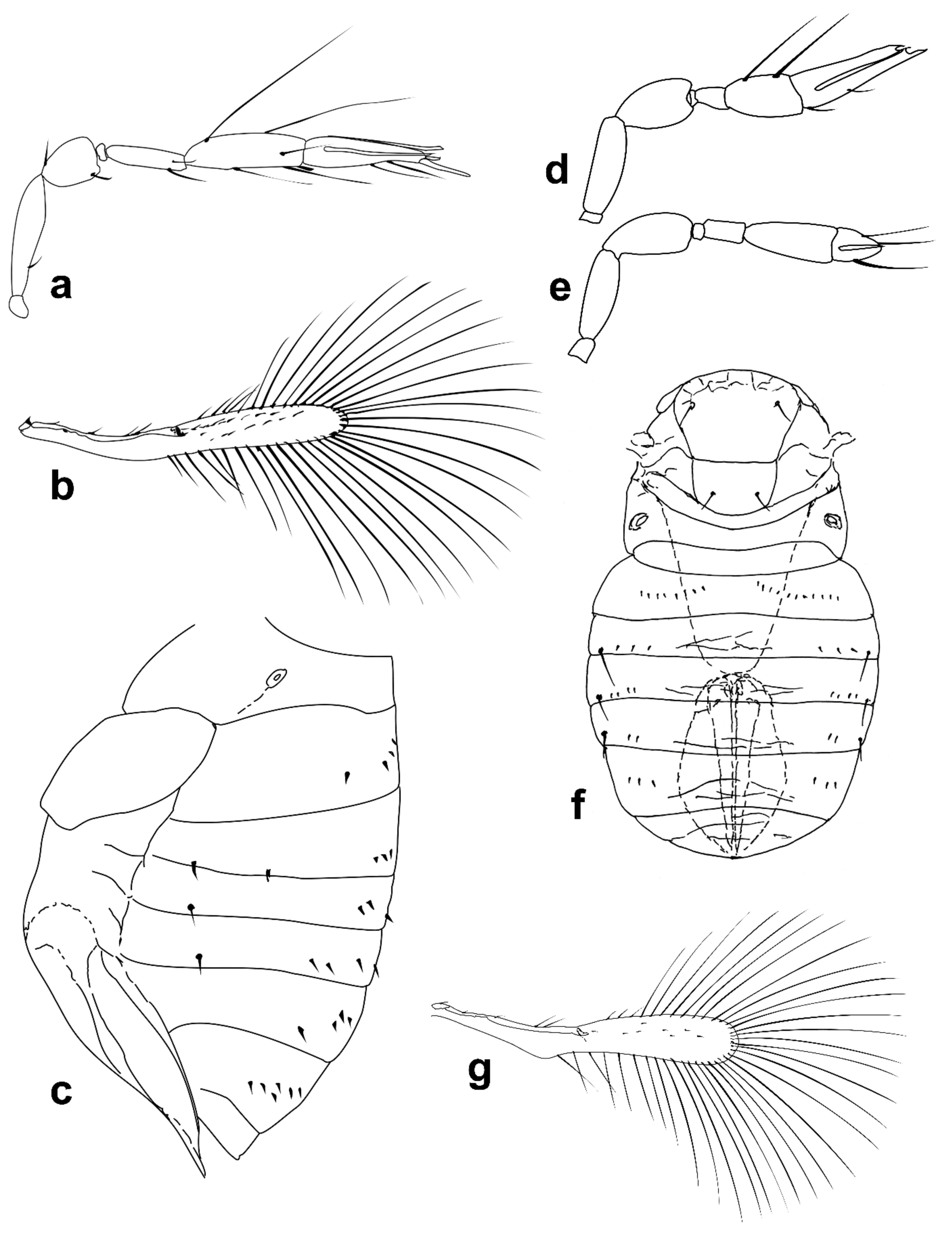 Insects 13 00561 g008