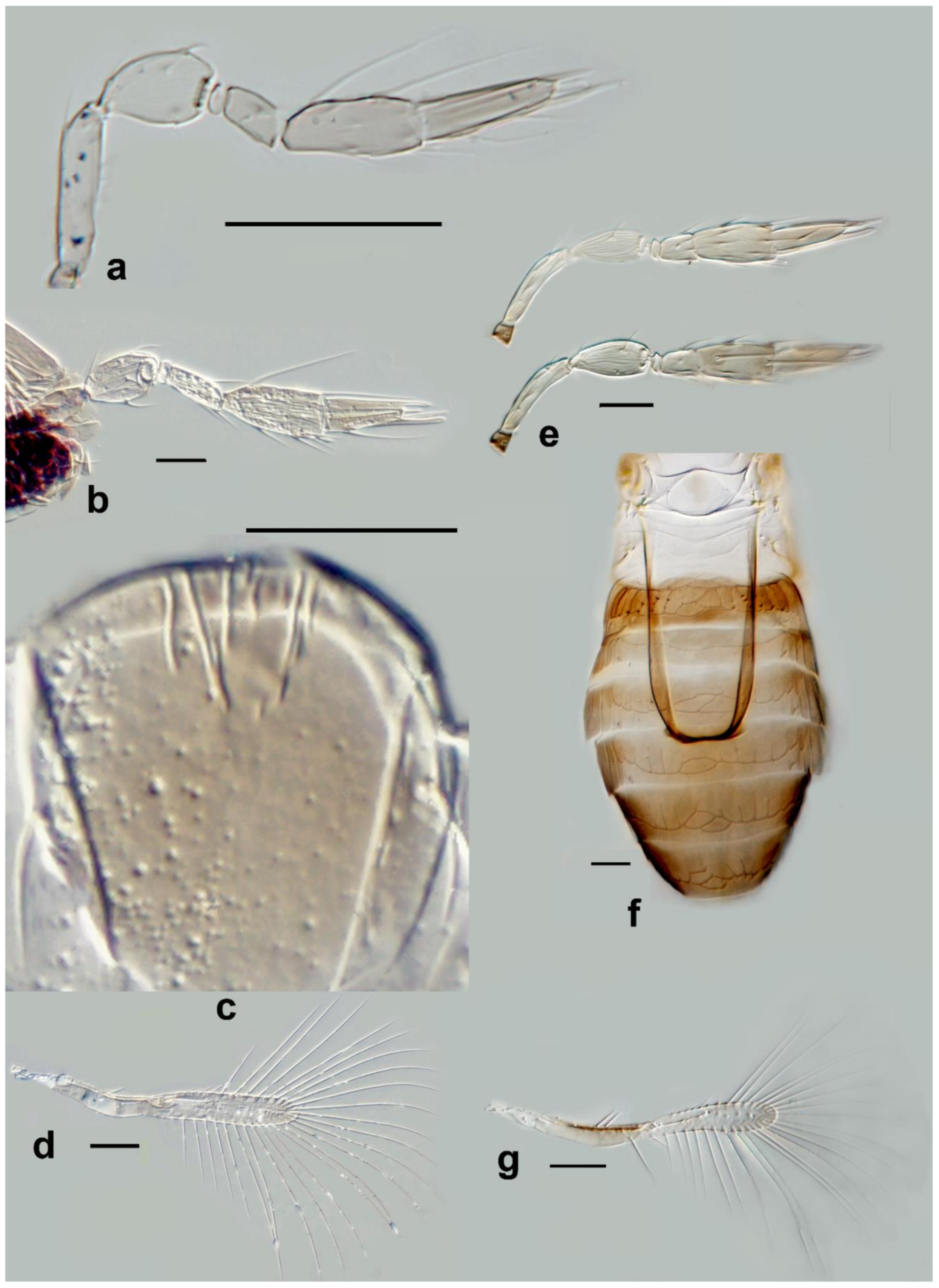 Insects 13 00561 g018