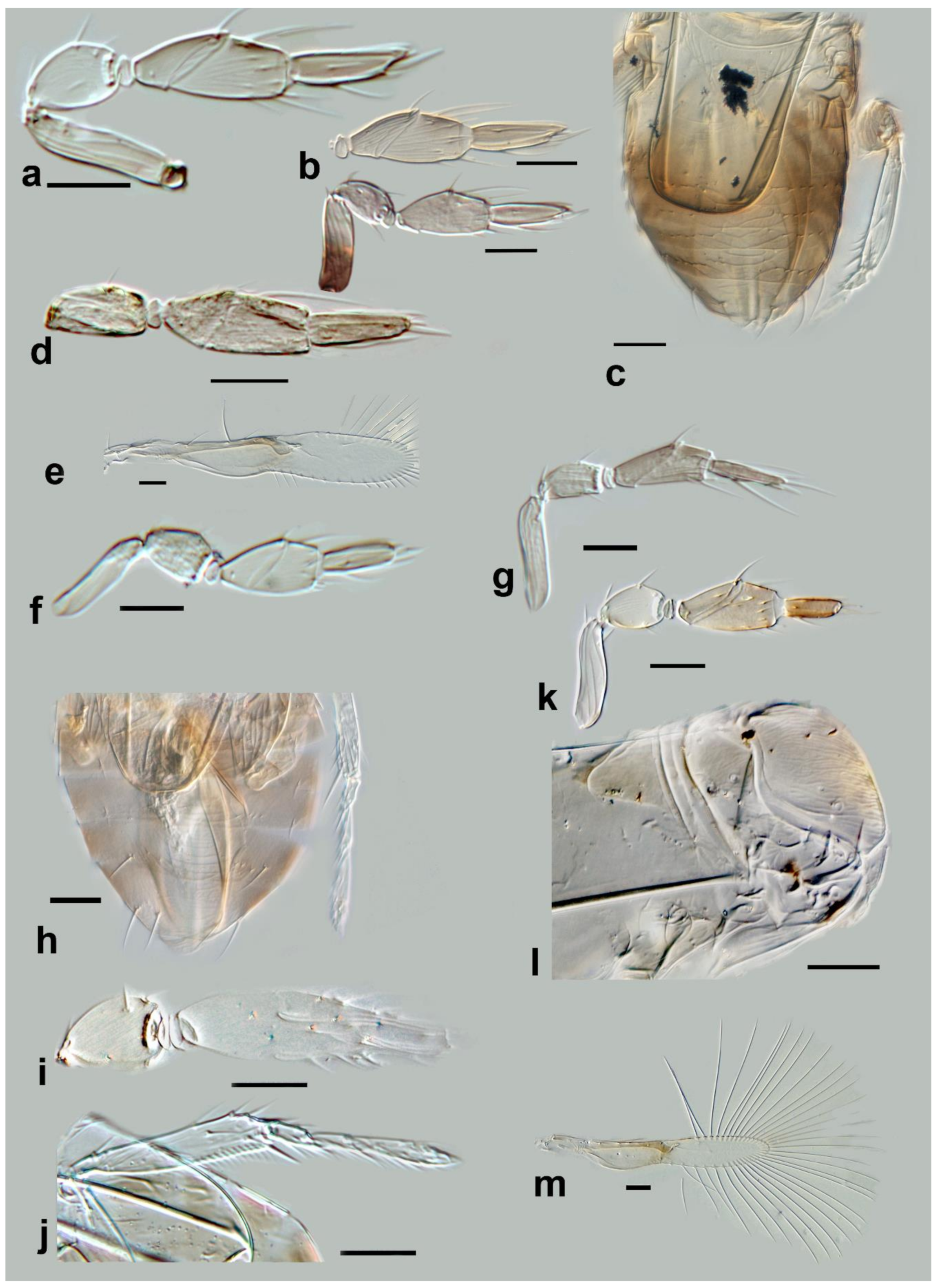 Insects 13 00561 g021