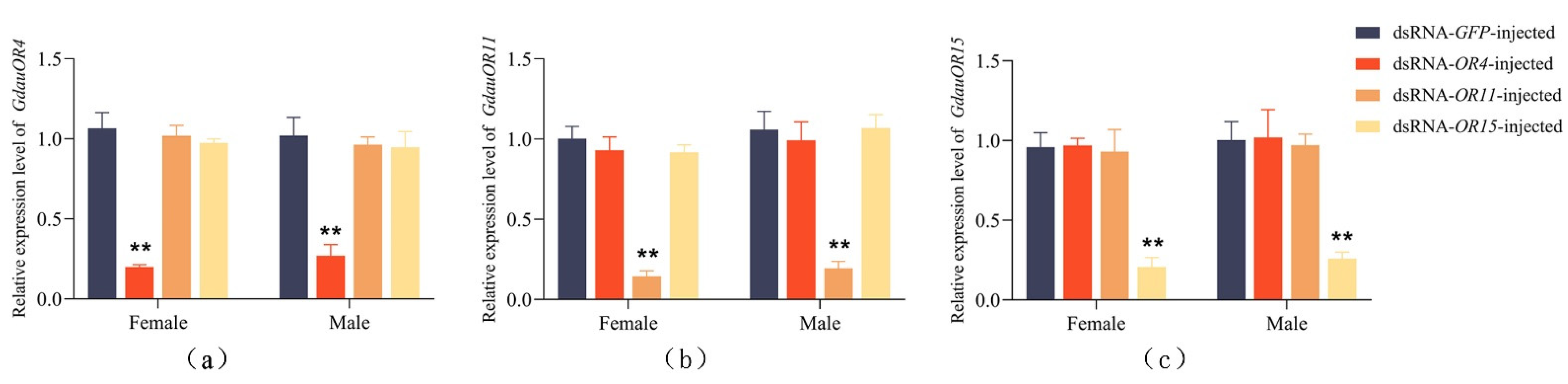 Insects 13 00563 g004