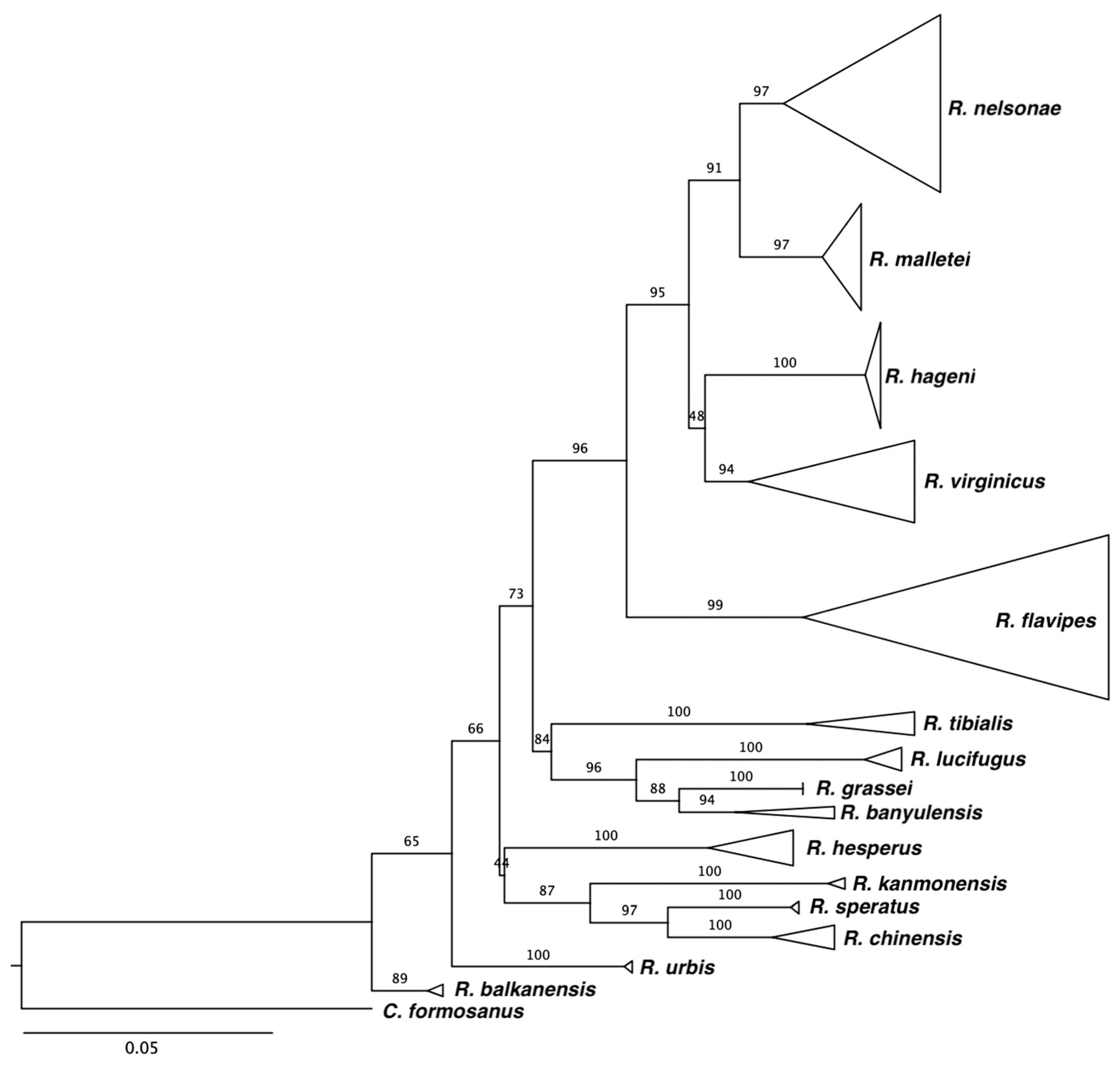 Insects 13 00565 g005 Insects 13 00565 g005