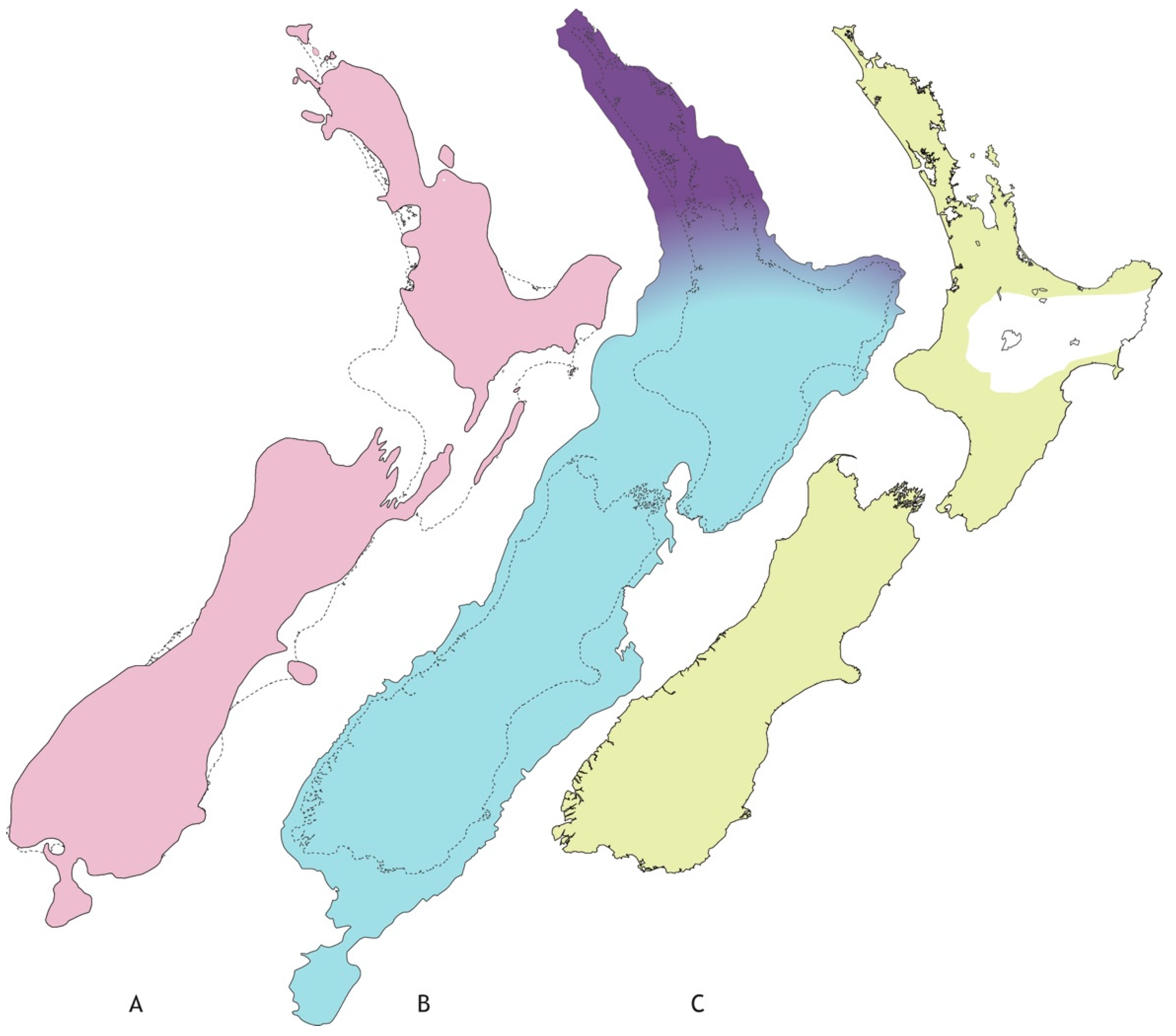 Insects 13 00567 g001 550