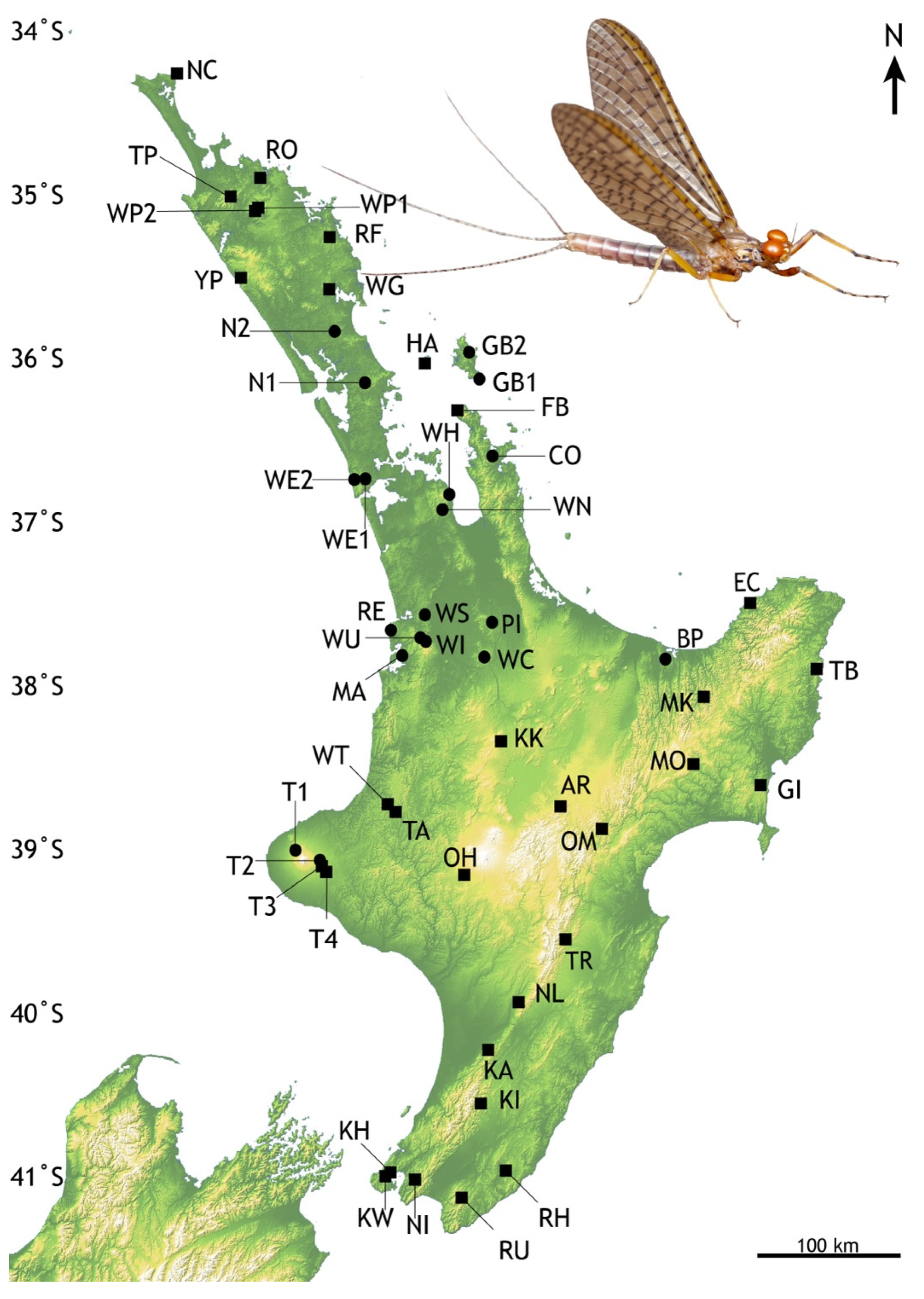 Insects 13 00567 g002 550