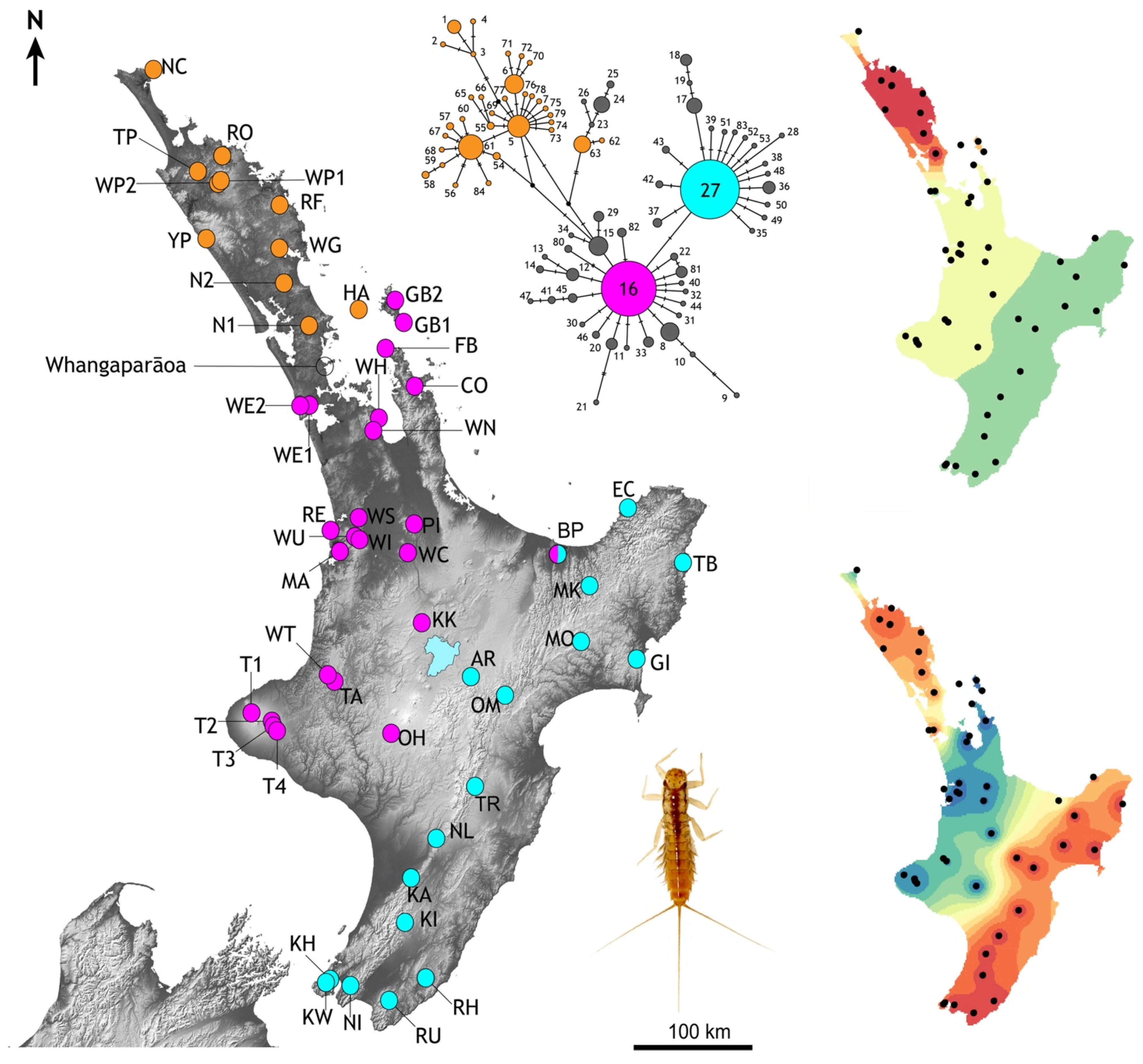 Insects 13 00567 g004 550