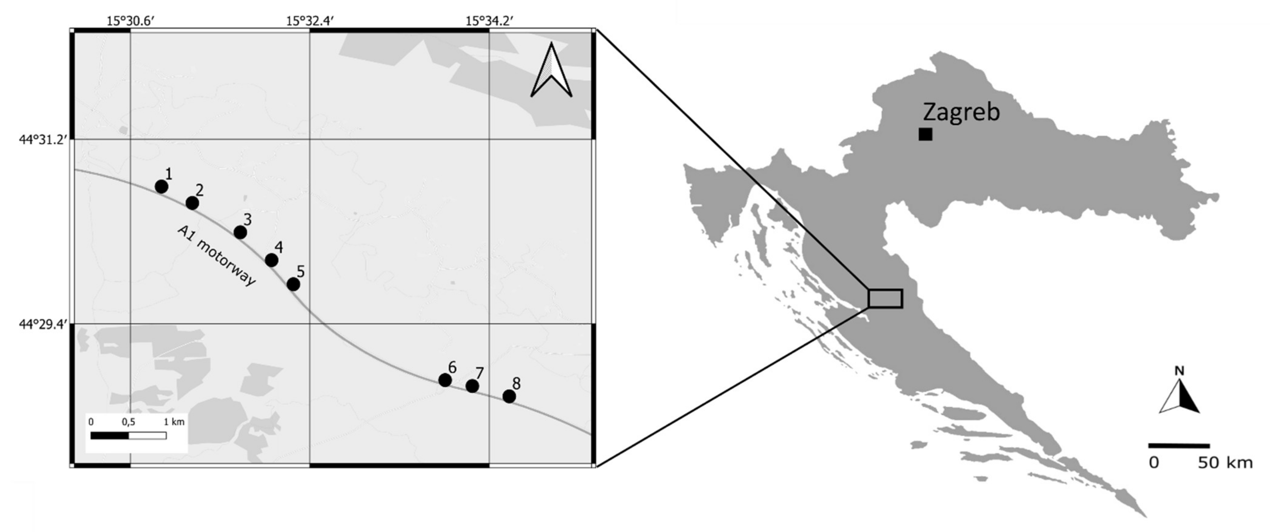 Insects 13 00572 g001 550