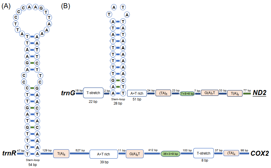 Insects 13 00585 g002