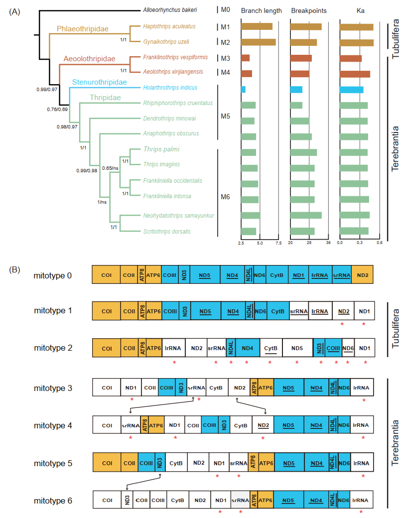 Insects 13 00585 g004