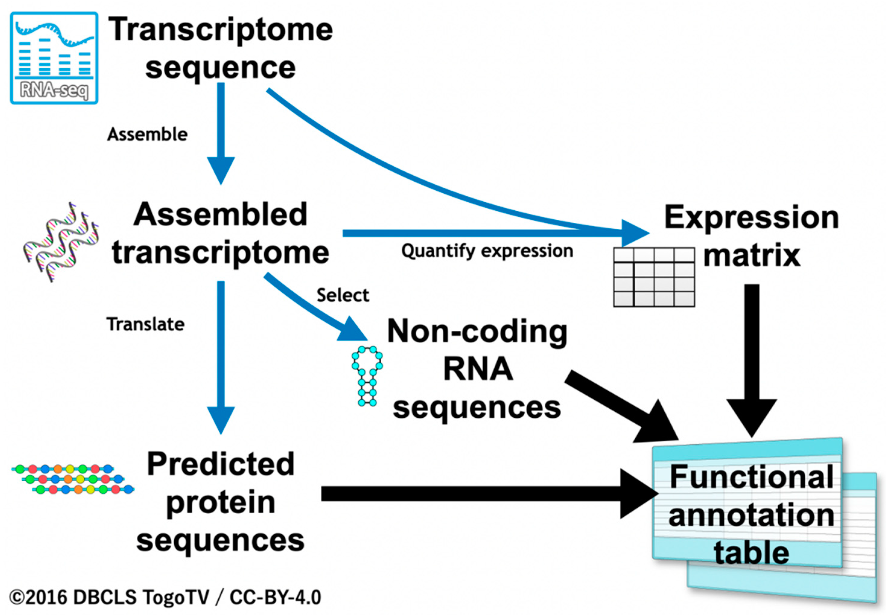 Insects 13 00586 g001