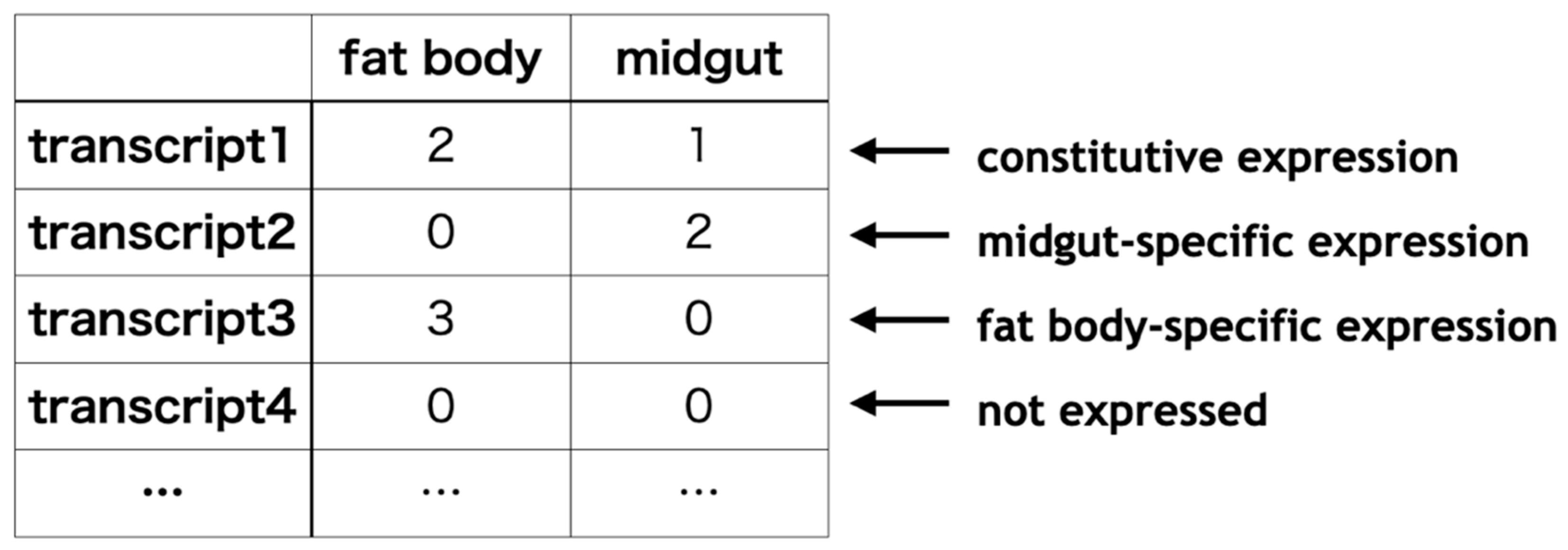 Insects 13 00586 g003