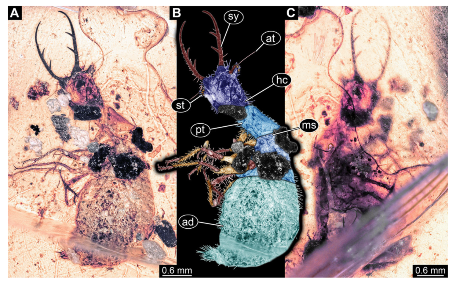 Insects 13 00587 g008