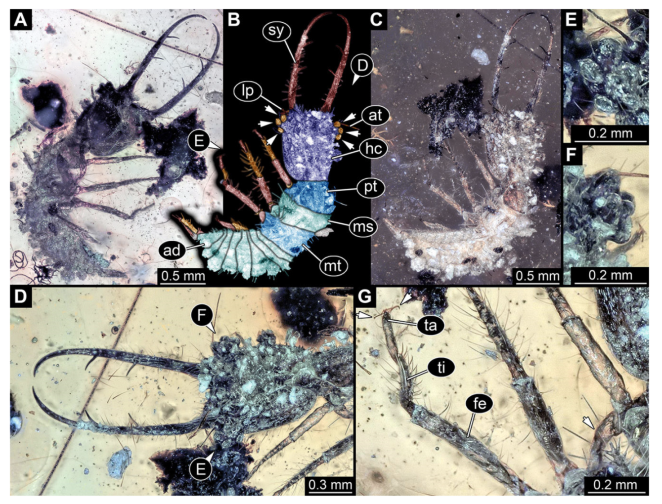 Insects 13 00587 g009