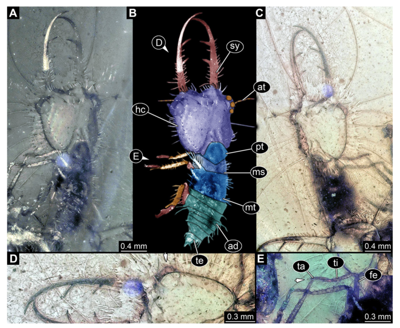 Insects 13 00587 g017
