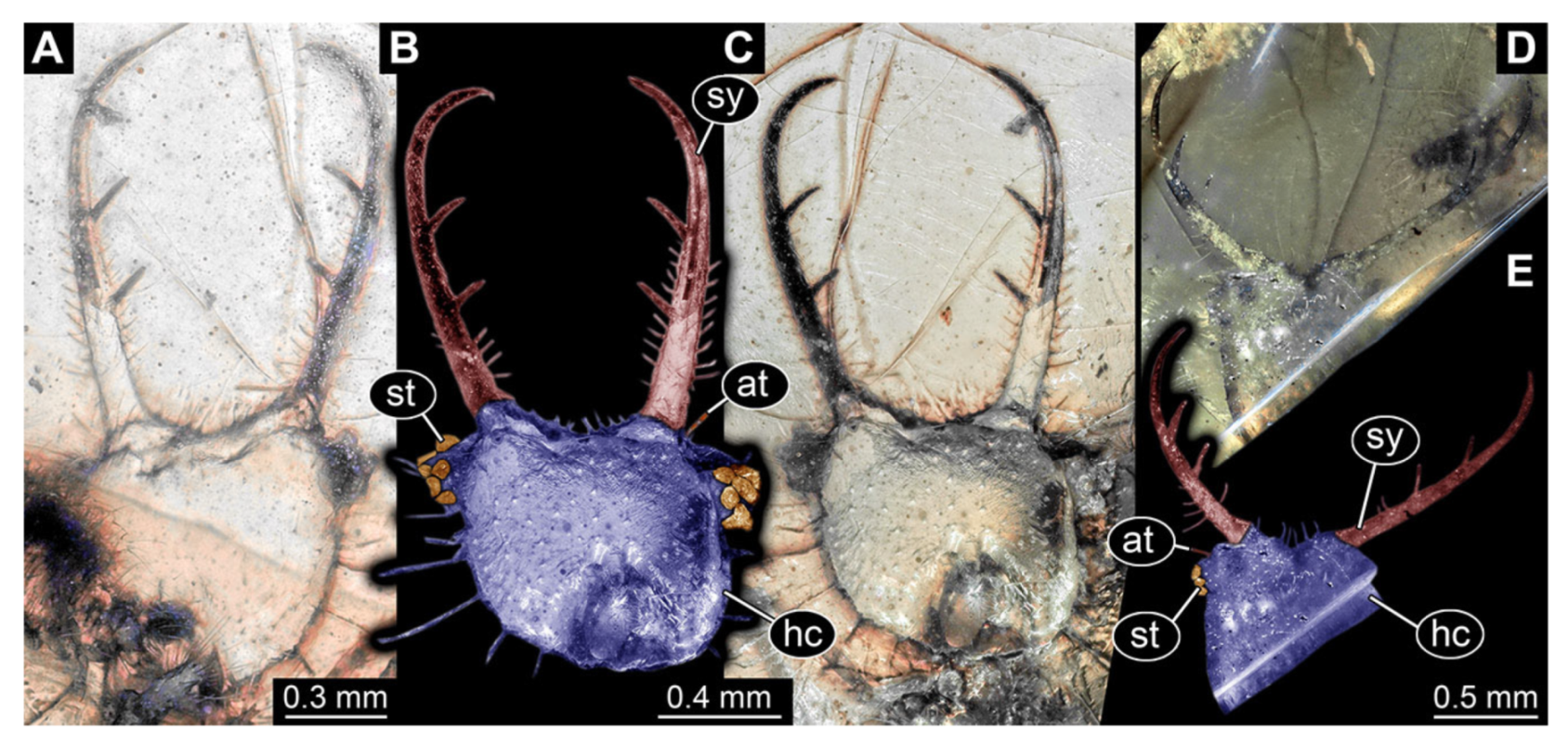 Insects 13 00587 g018