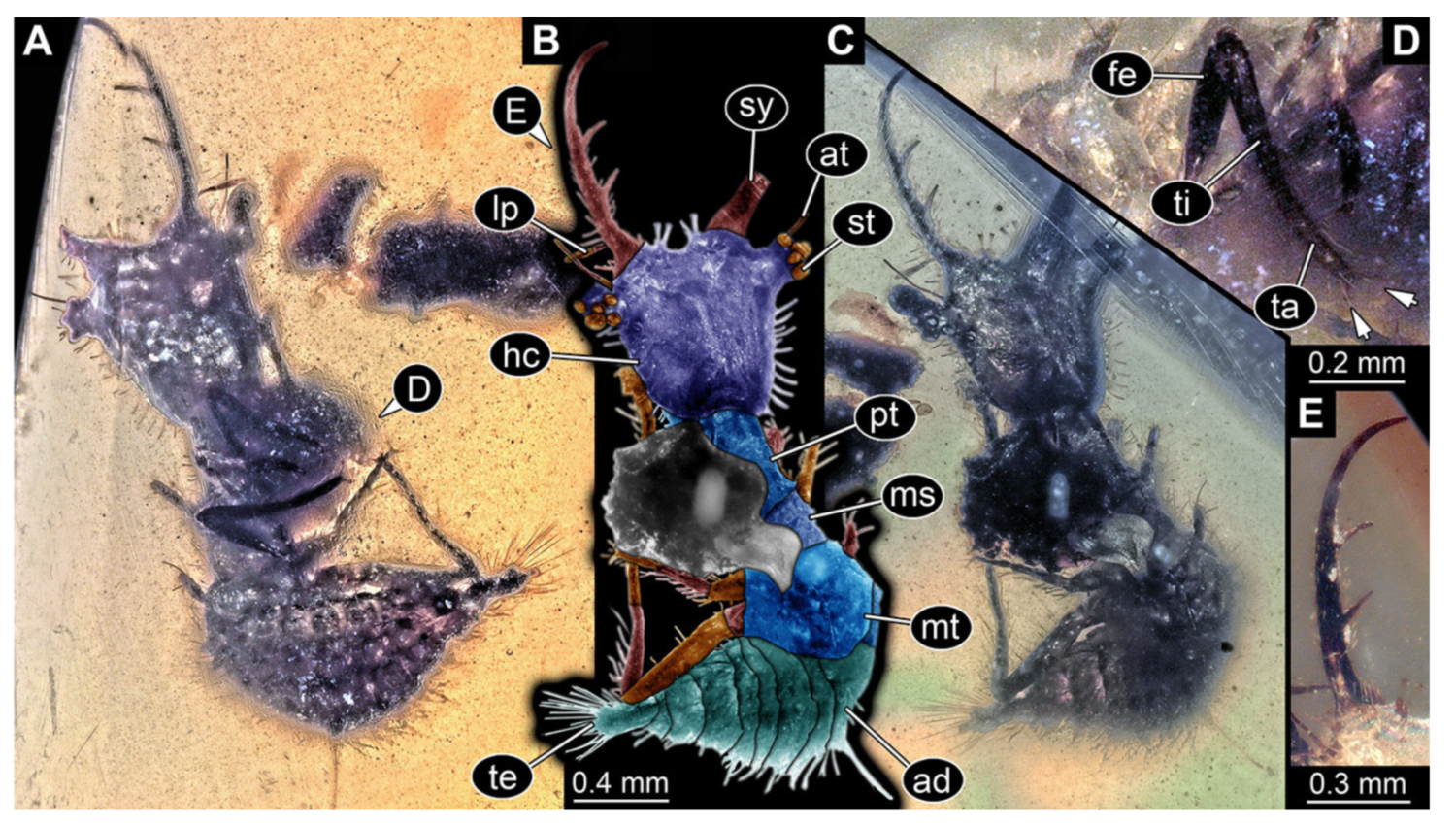 Insects 13 00587 g019