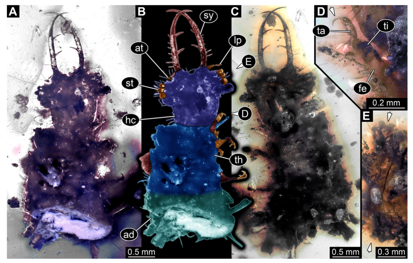 Insects 13 00587 g020