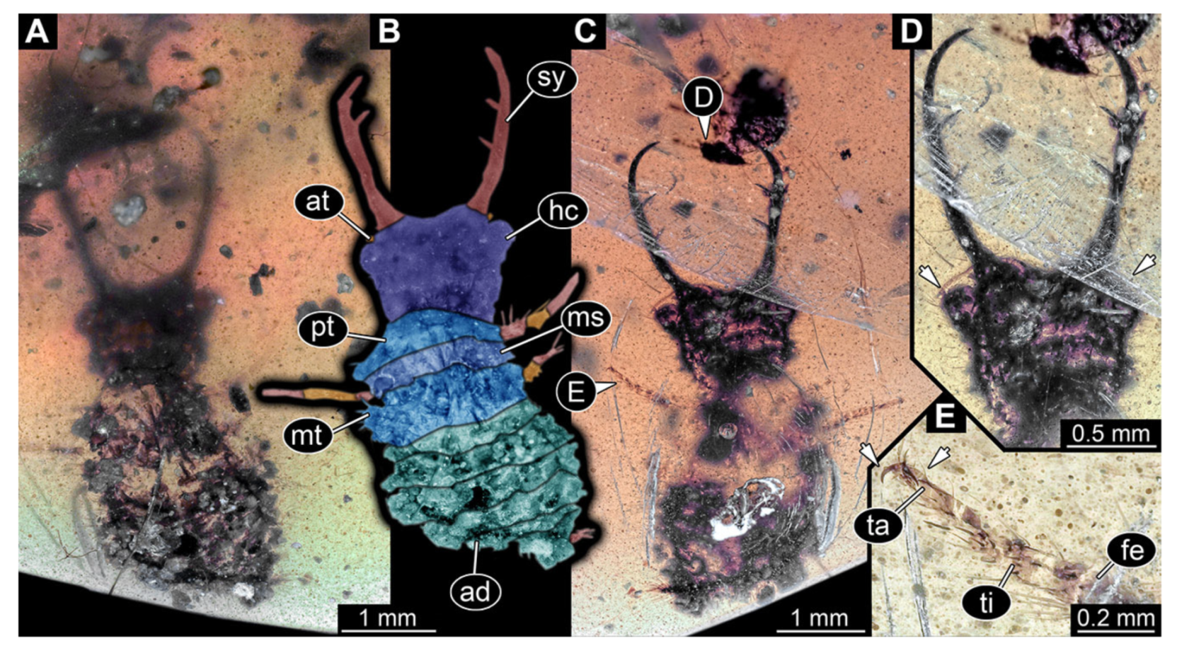 Insects 13 00587 g022