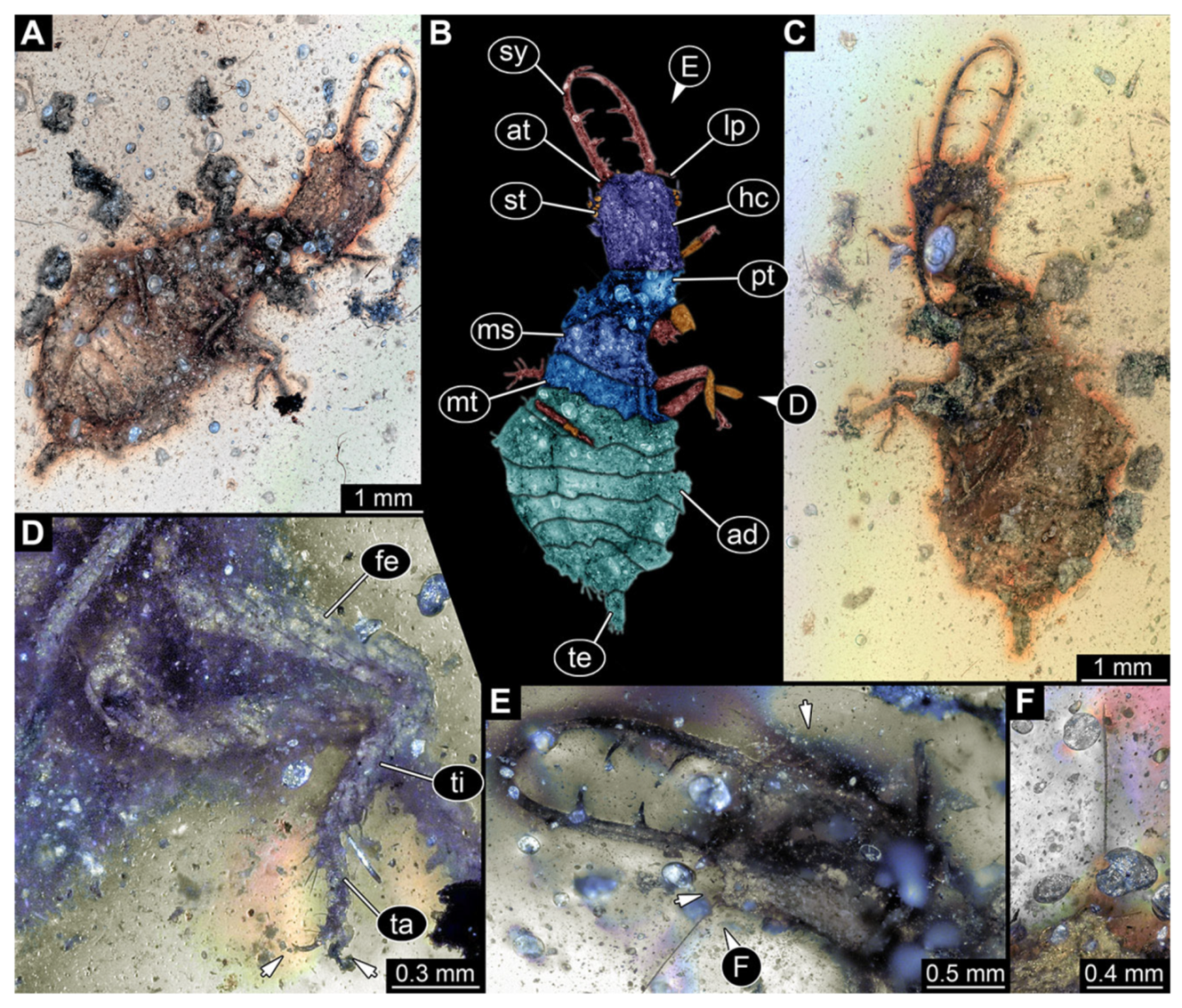 Insects 13 00587 g023