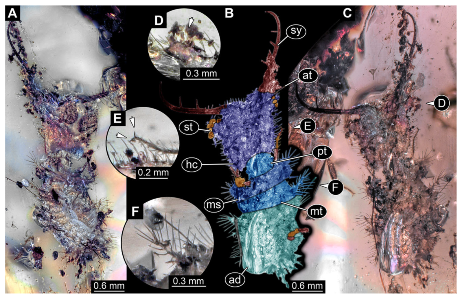 Insects 13 00587 g027