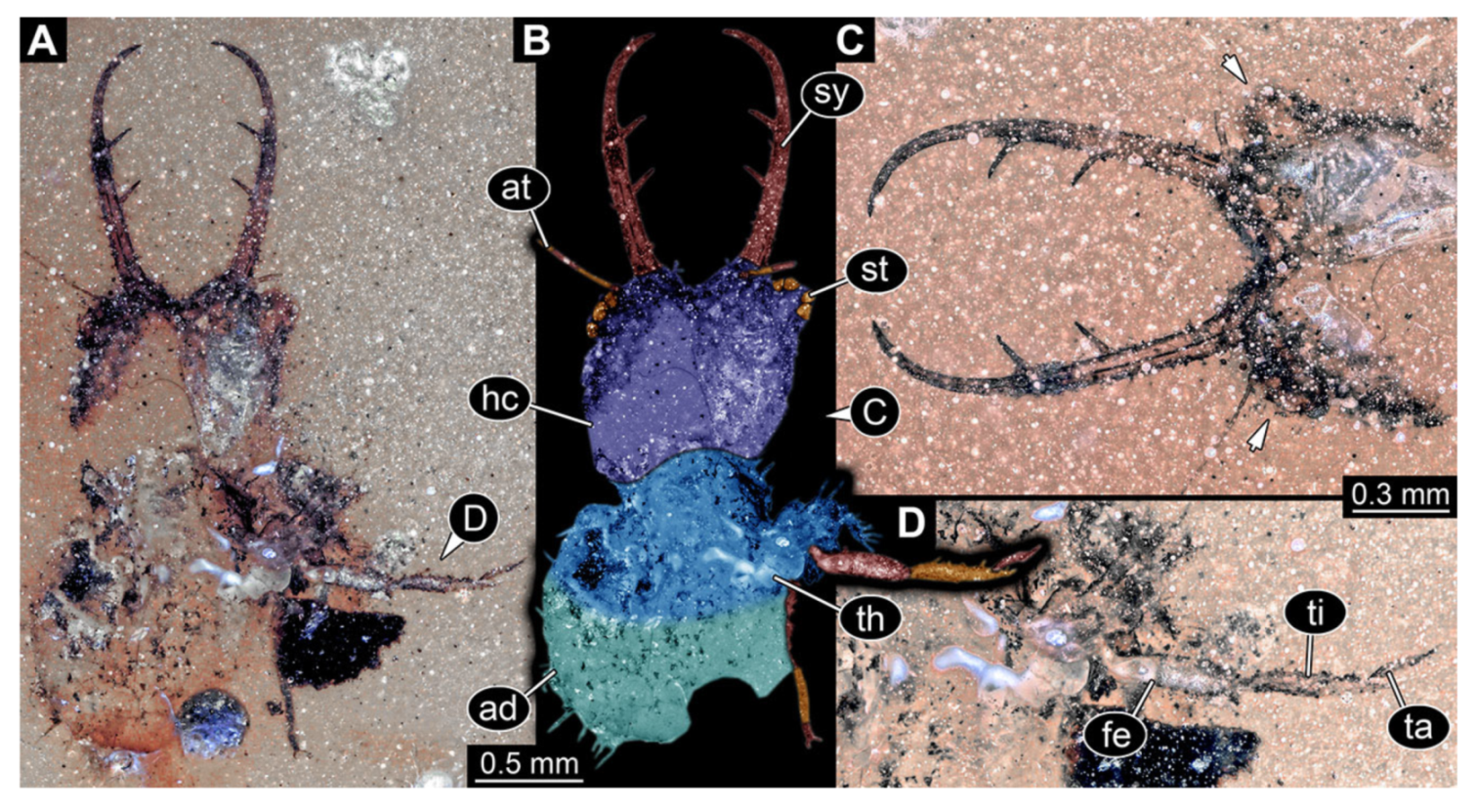 Insects 13 00587 g028