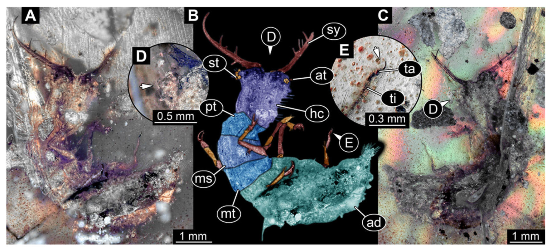 Insects 13 00587 g030