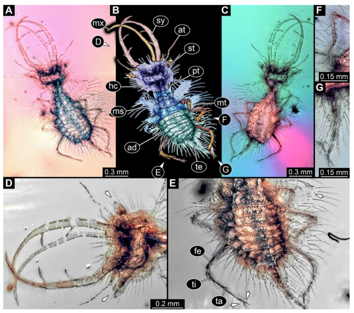 Insects 13 00587 g032