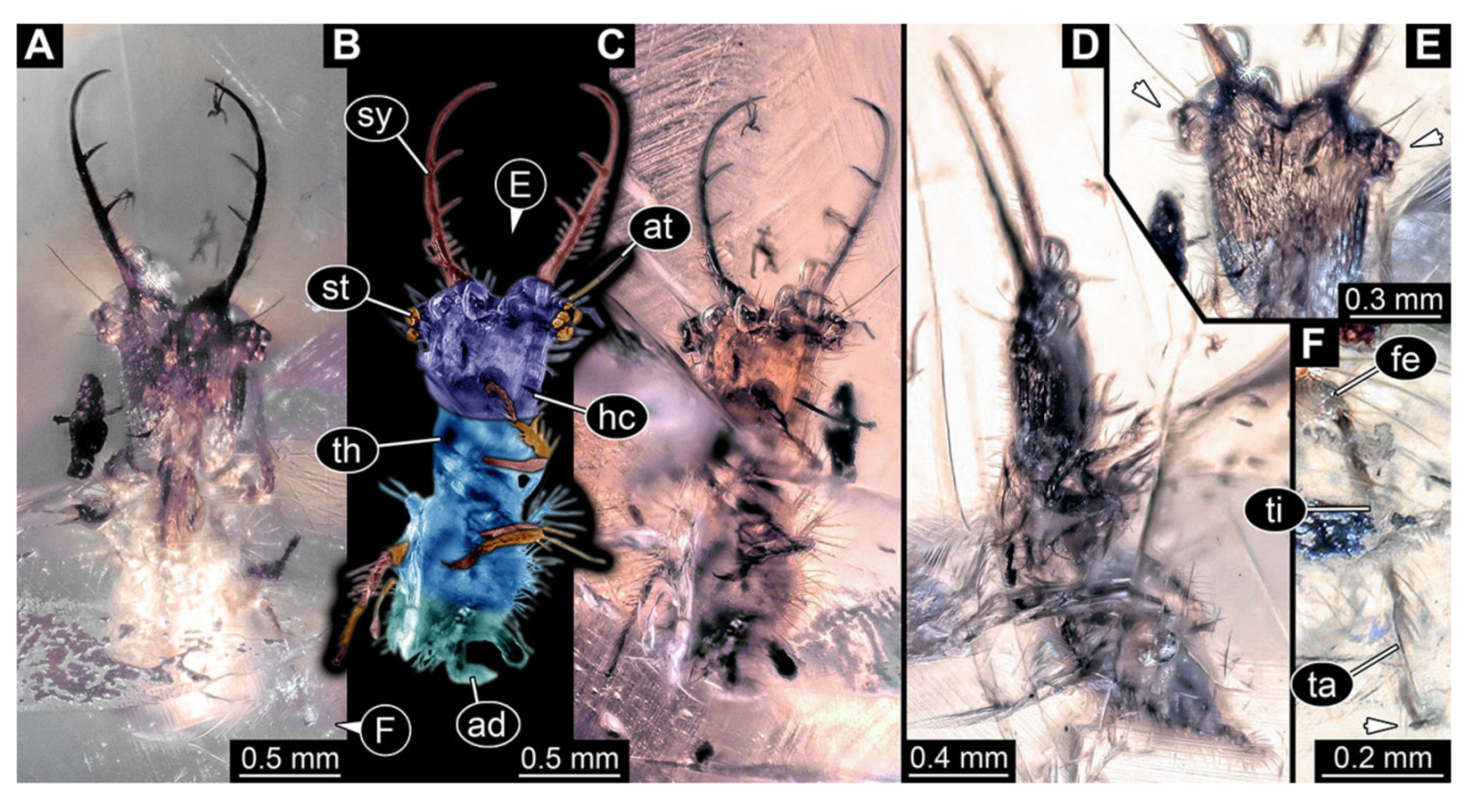Insects 13 00587 g033