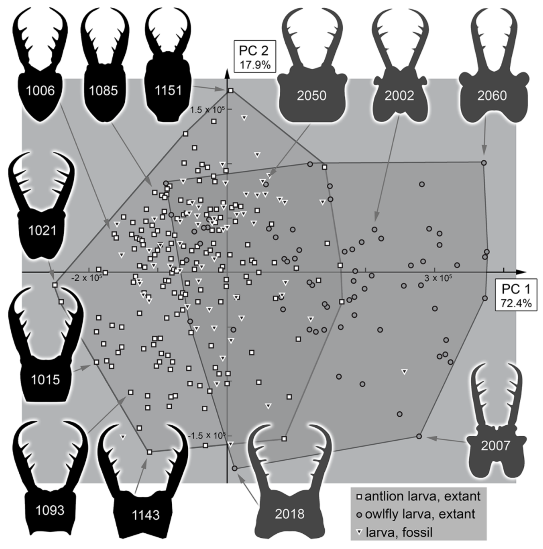 Insects 13 00587 g037