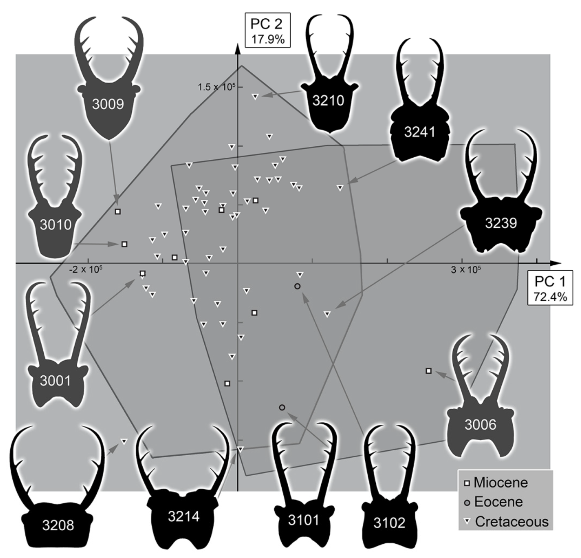 Insects 13 00587 g038