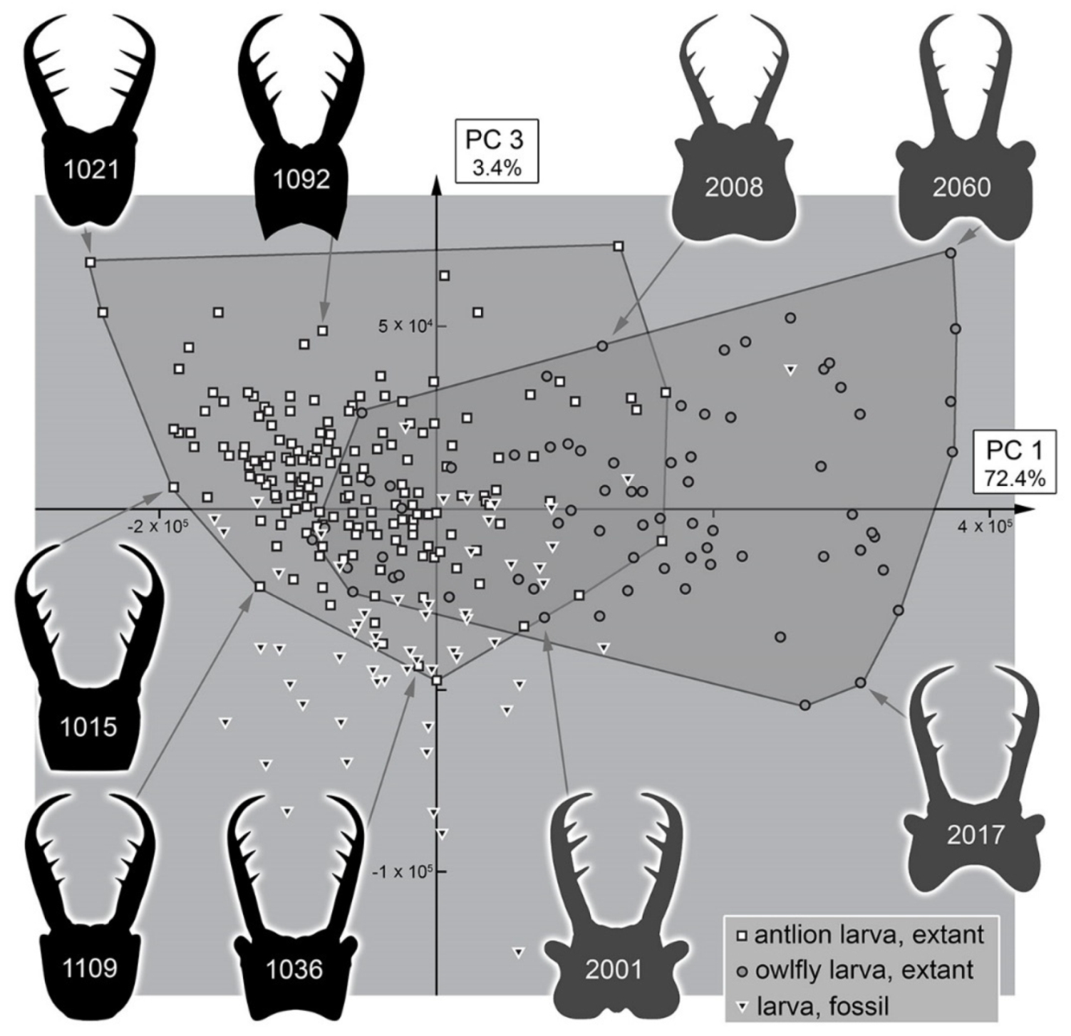 Insects 13 00587 g039