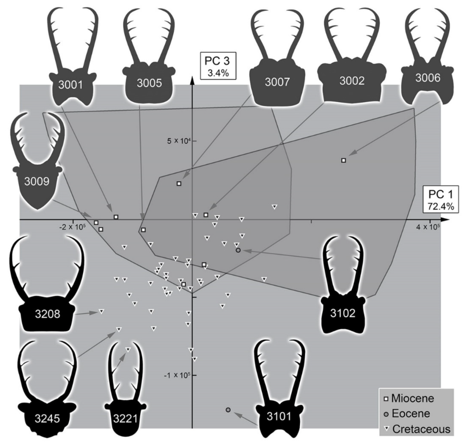 Insects 13 00587 g040