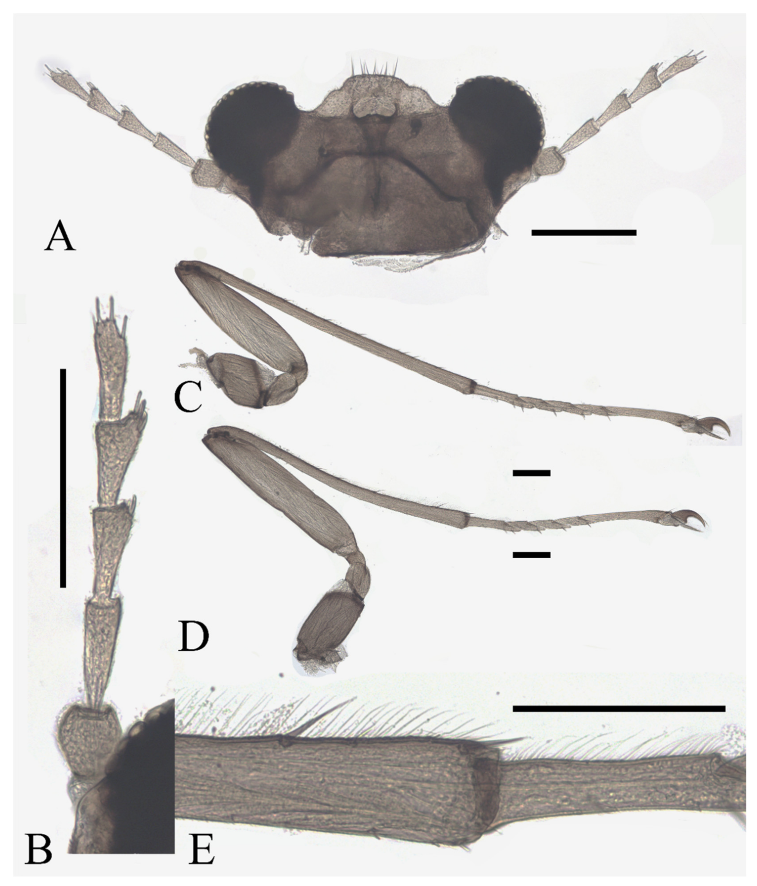 Insects 13 00593 g015 550