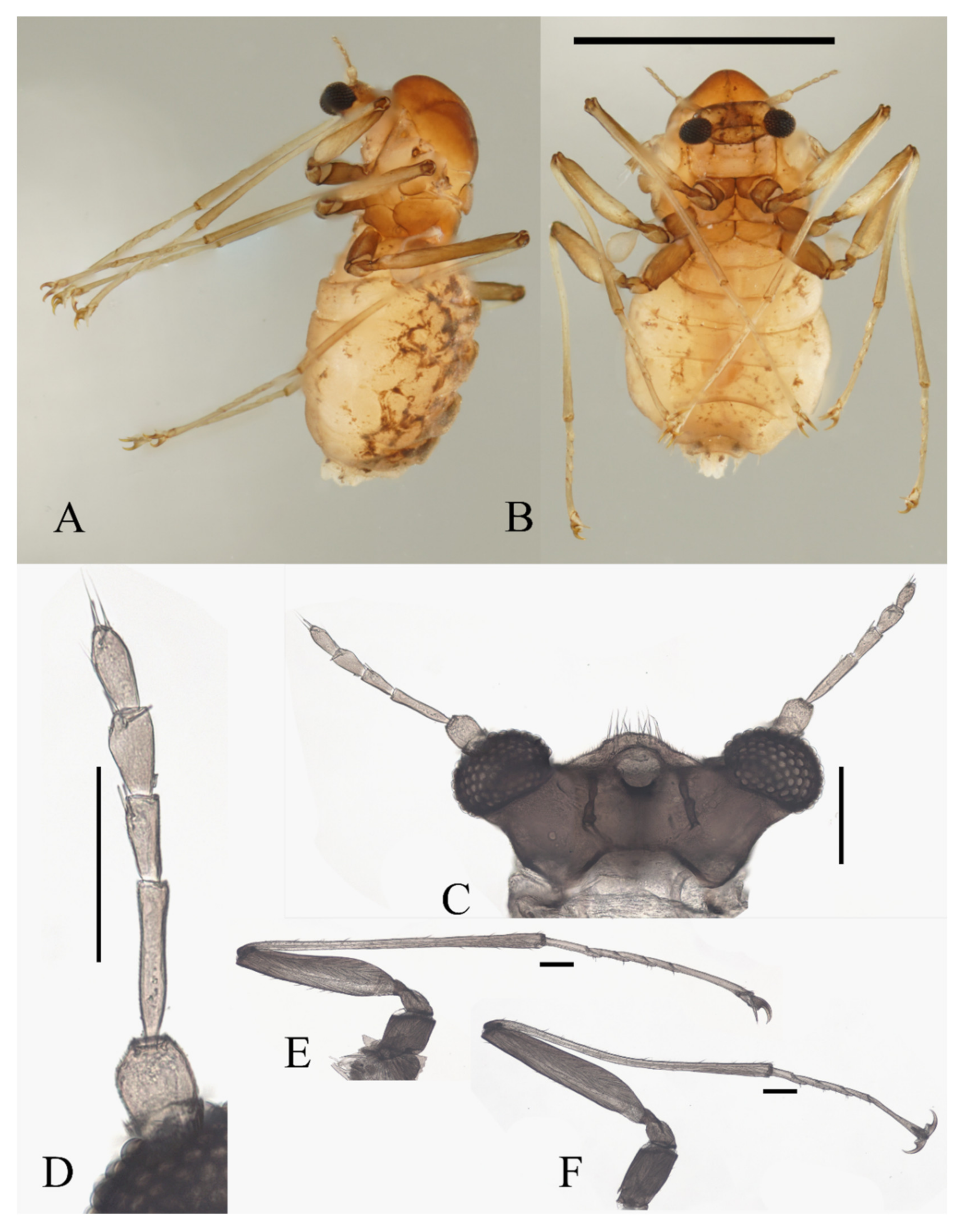 Insects 13 00593 g020 550