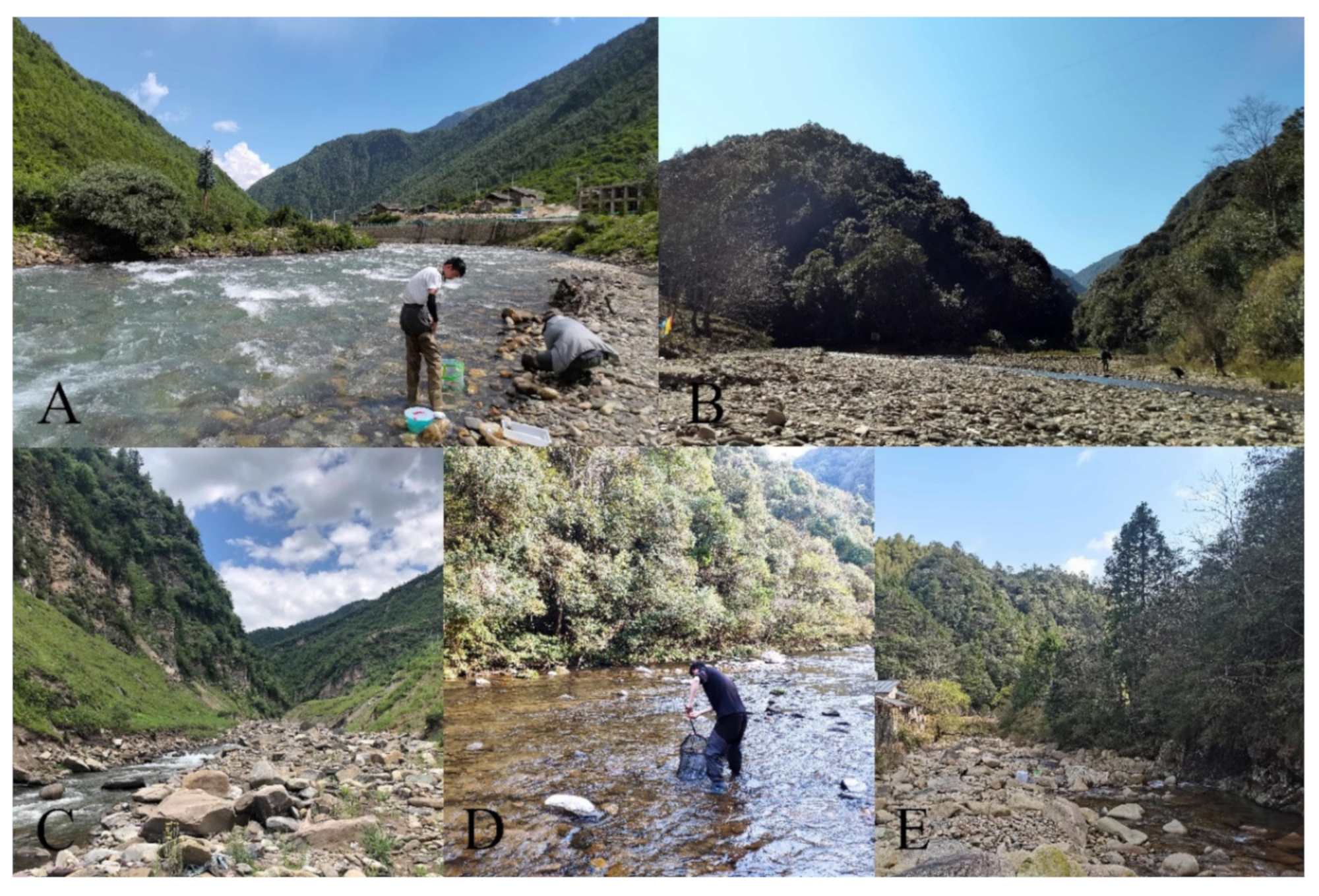 Insects 13 00593 g024 550