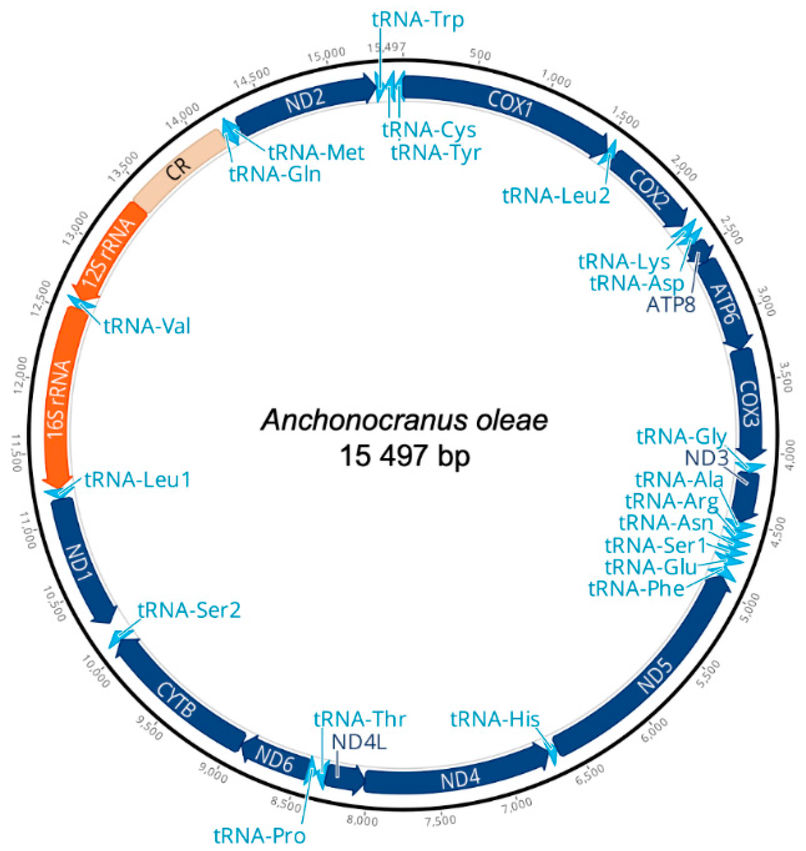 Insects 13 00607 g003 550
