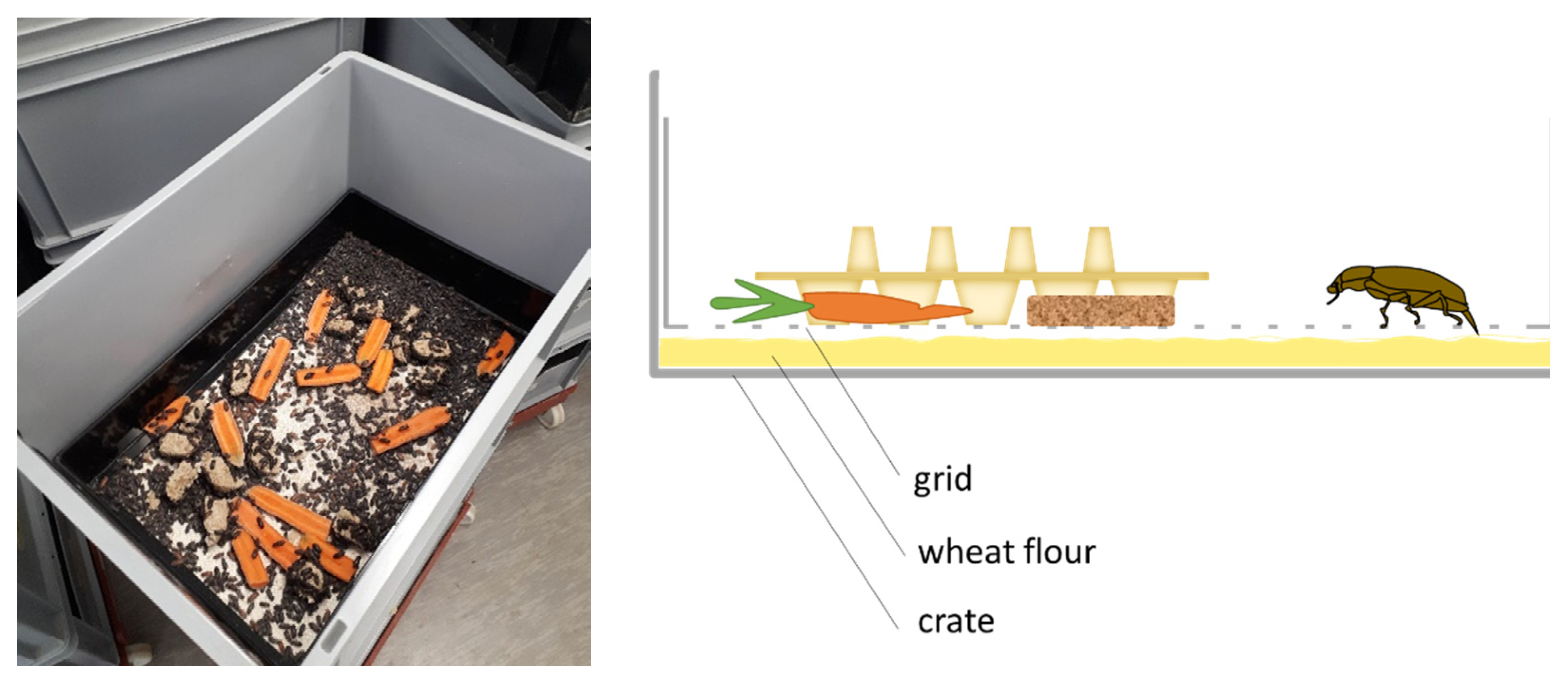 Insects 13 00615 g001 550