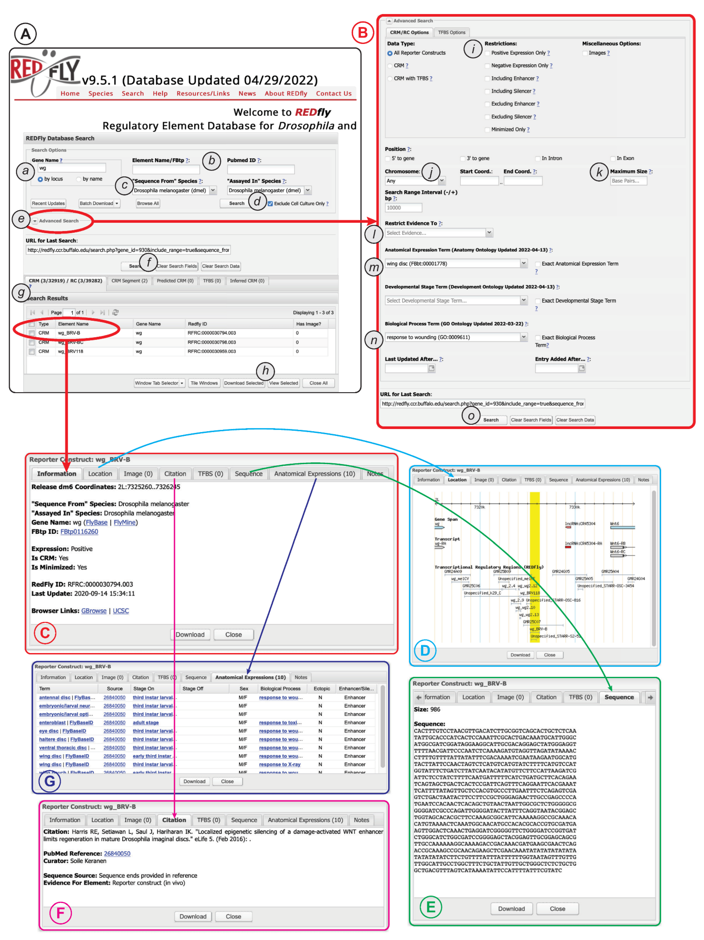 Insects 13 00618 g004 Insects 13 00618 g004