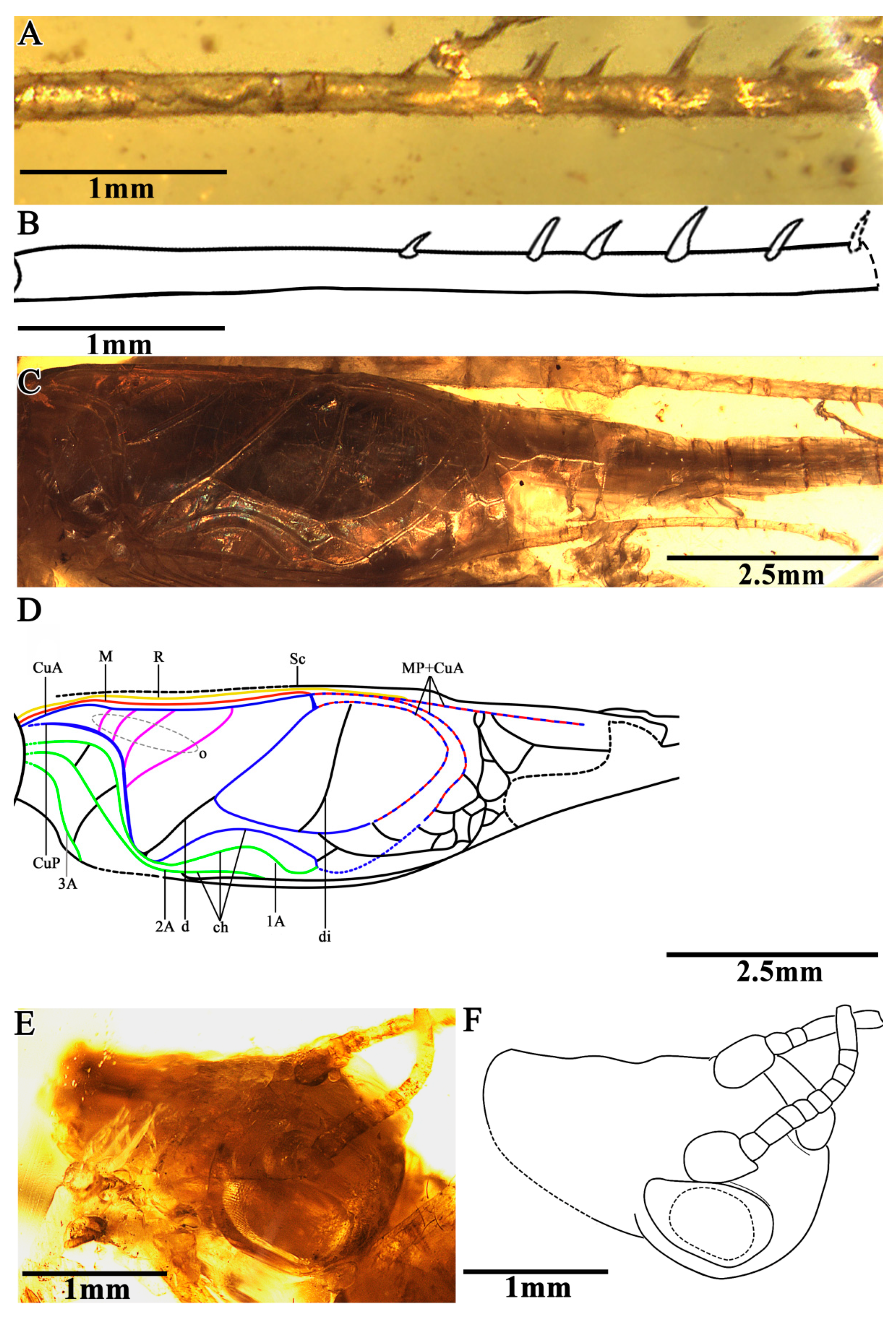 Insects 13 00619 g002 550